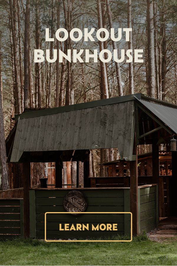 https://www.lazyduck.scot/the-lookout-bunkhouse