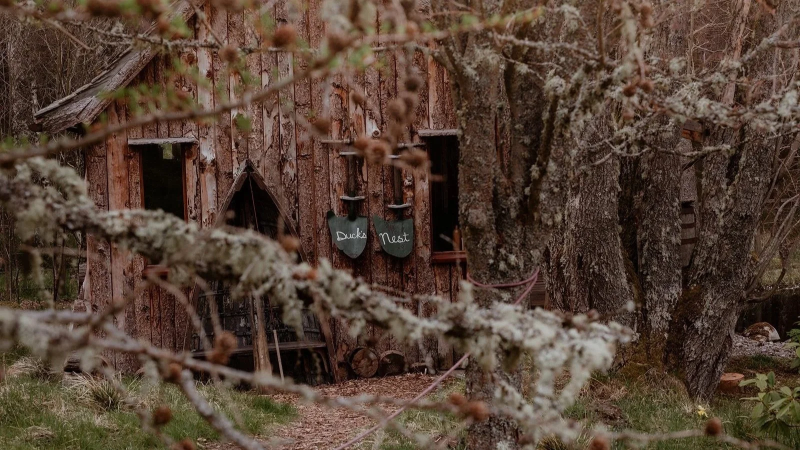 What Is Off-Grid Living? A Simple Guide to Life Beyond the Wires