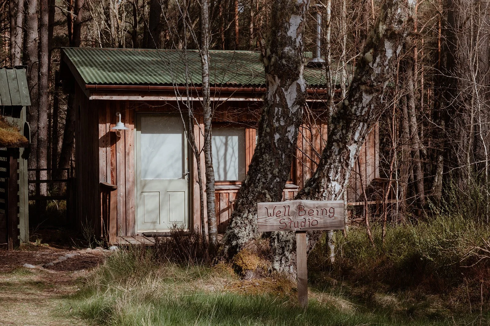 a hut in the forest with a sign saying well-being studio in front. The hut has a green door and green iron roof and is surrounded by pine trees and silver birch