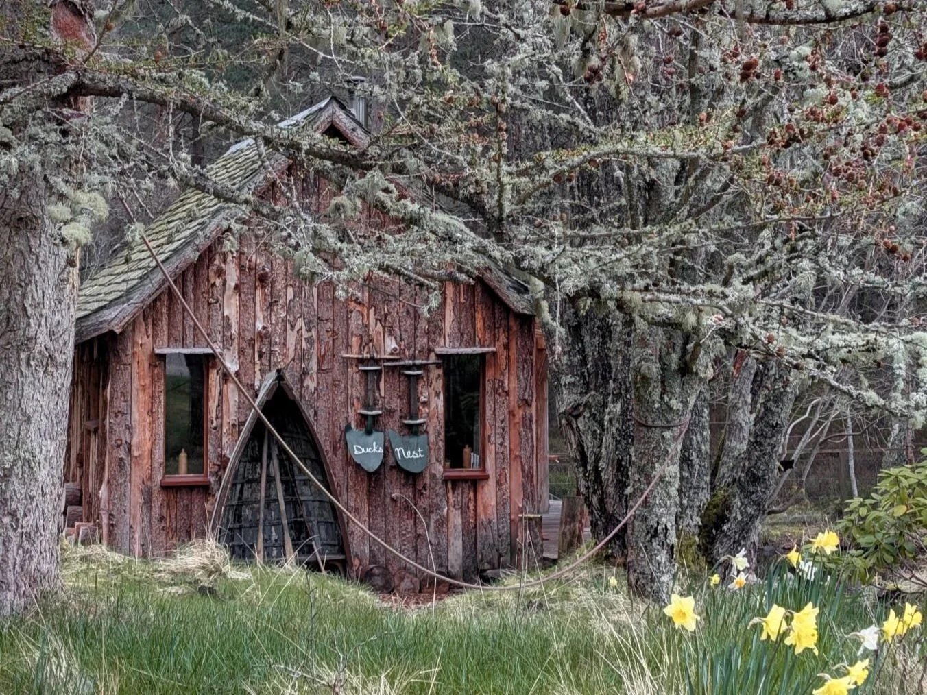Rooted in the Land: 5 Best Eco-Friendly Adventures in the Cairngorms