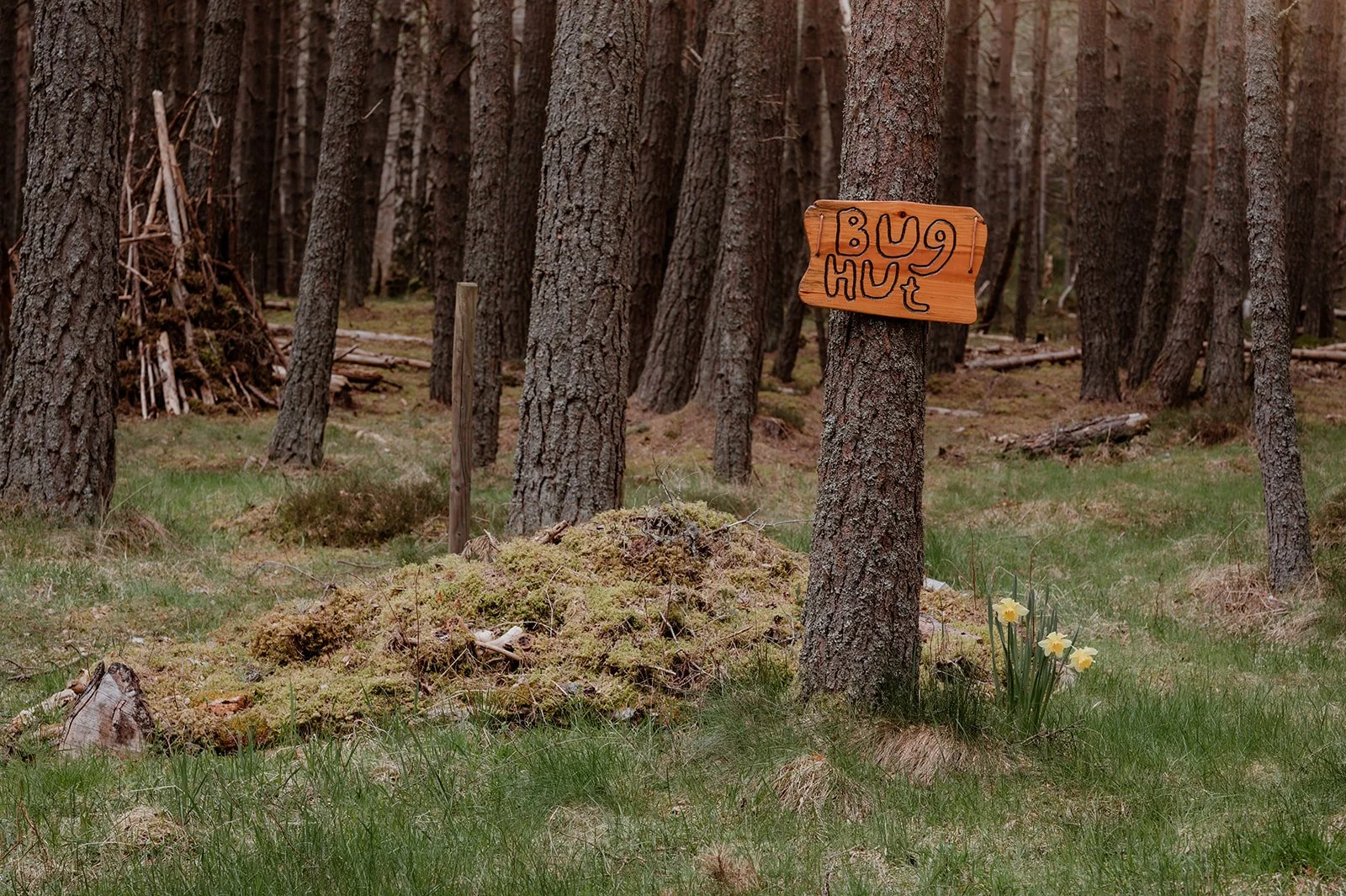 Official Operations Update: Accommodation &amp; Facilities at The Lazy Duck