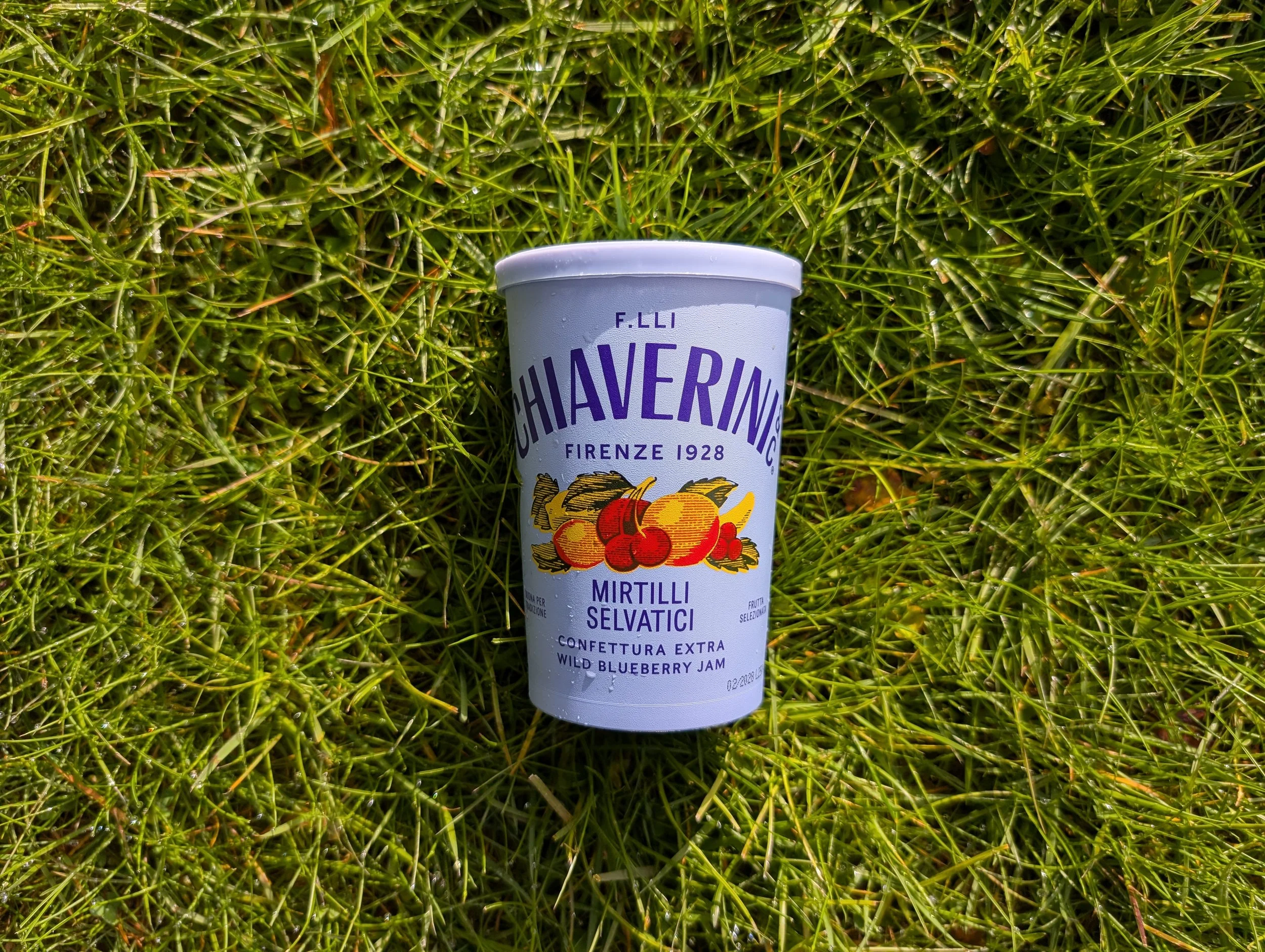 Chiaverini wild blueberry jam