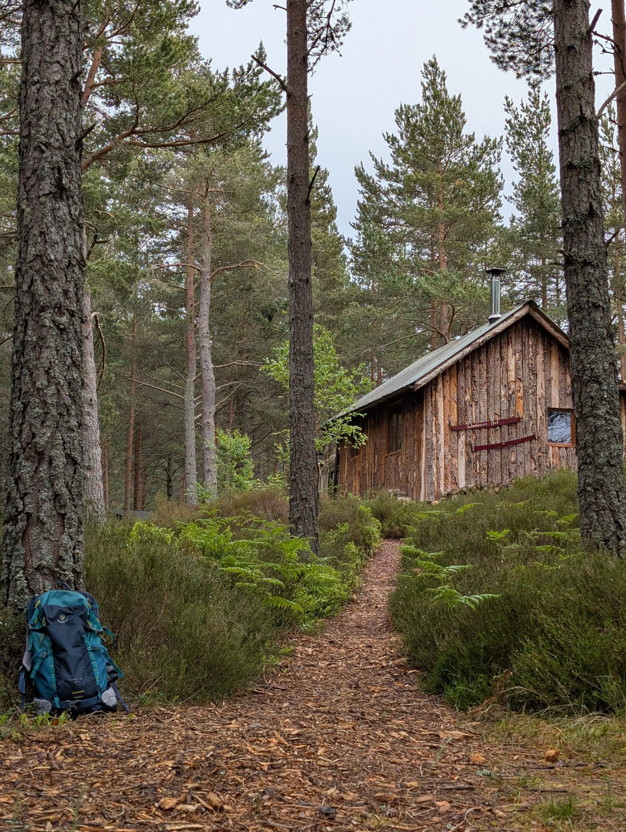 How to Get to The Lazy Duck Without a Car: Your Ultimate Eco-Friendly Travel Guide