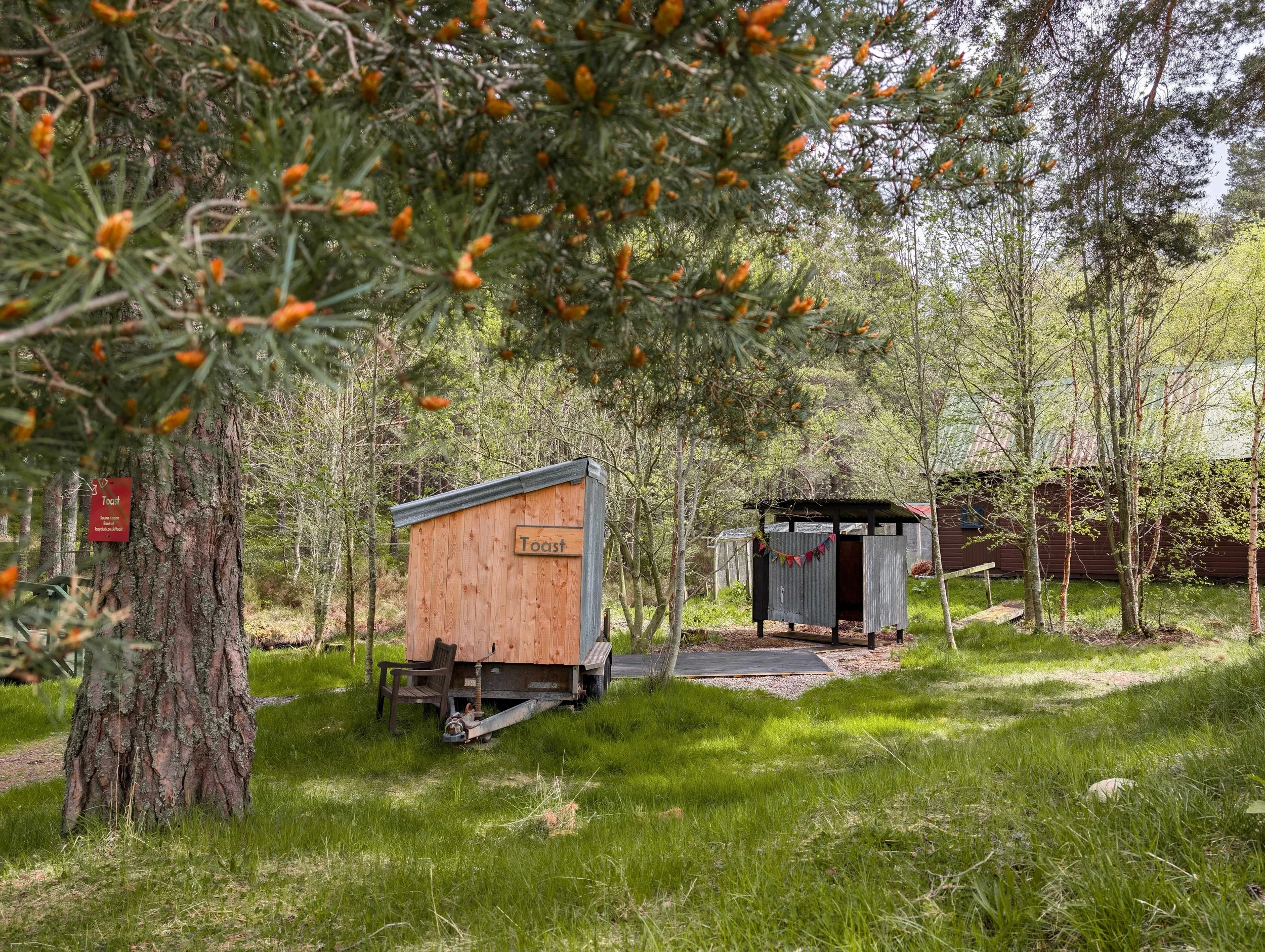 Beyond the Traditional Retreat: What a True Wild Spa Experience in Scotland Actually Looks Like