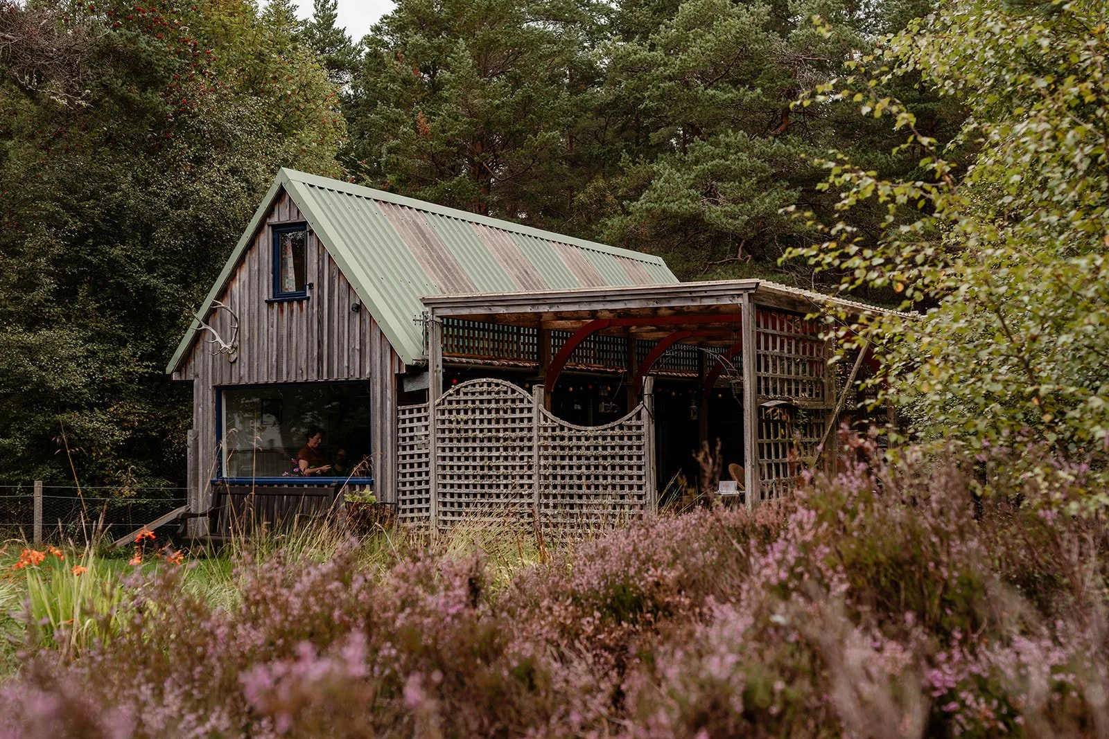 A dedicated hut built for working remotely surrounded by blooming heather and pine forest