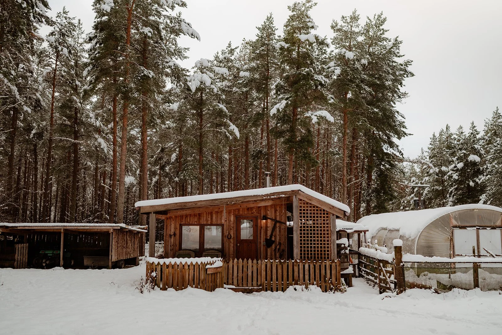A small wooden cabin with a snow-covered roof surrounded by tall pine trees and snow on the ground, with a snow-covered greenhouse and outdoor shelter nearby.