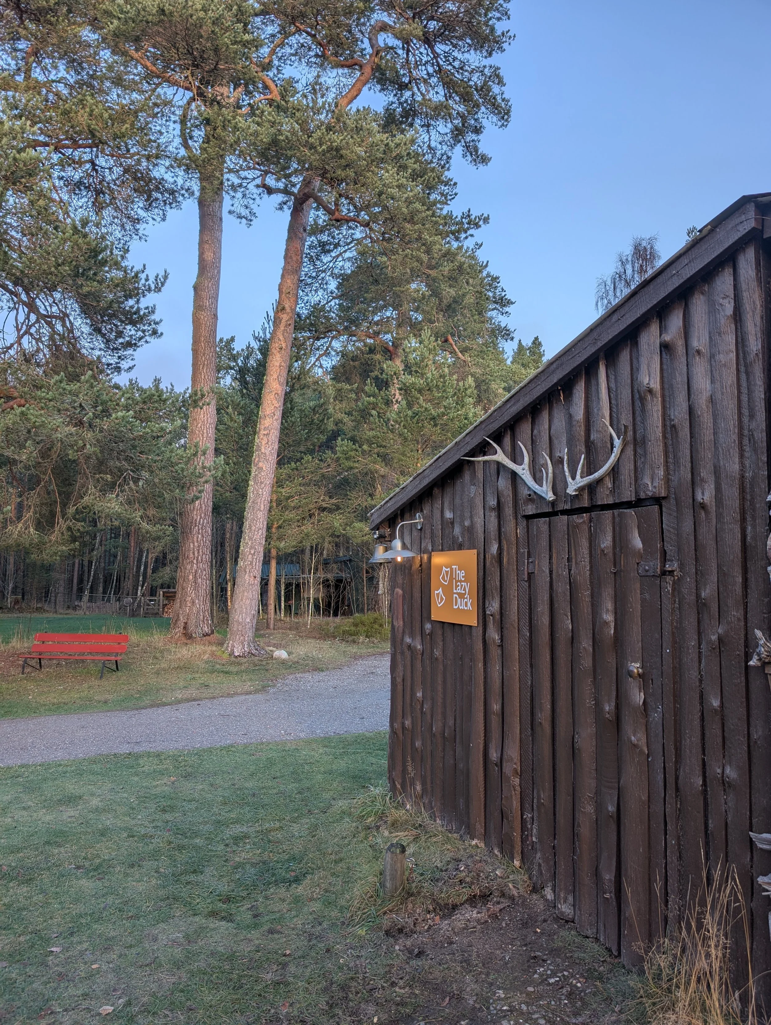 A wooden building with antler decor and a sign that reads 'The Lazy Duck'. There are tall pine trees in the background and a red bench nearby. The scene appears to be outdoors during dusk.