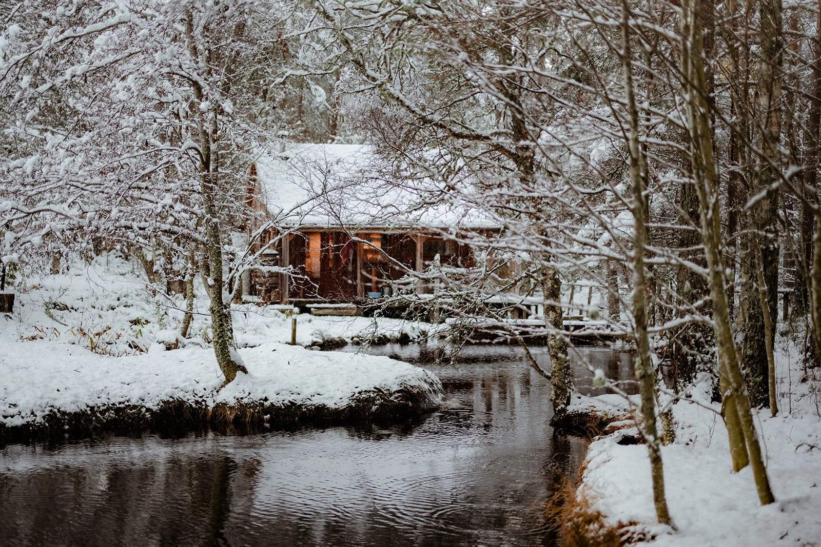 A snow-covered wooden house by a river surrounded by snow-covered trees.
