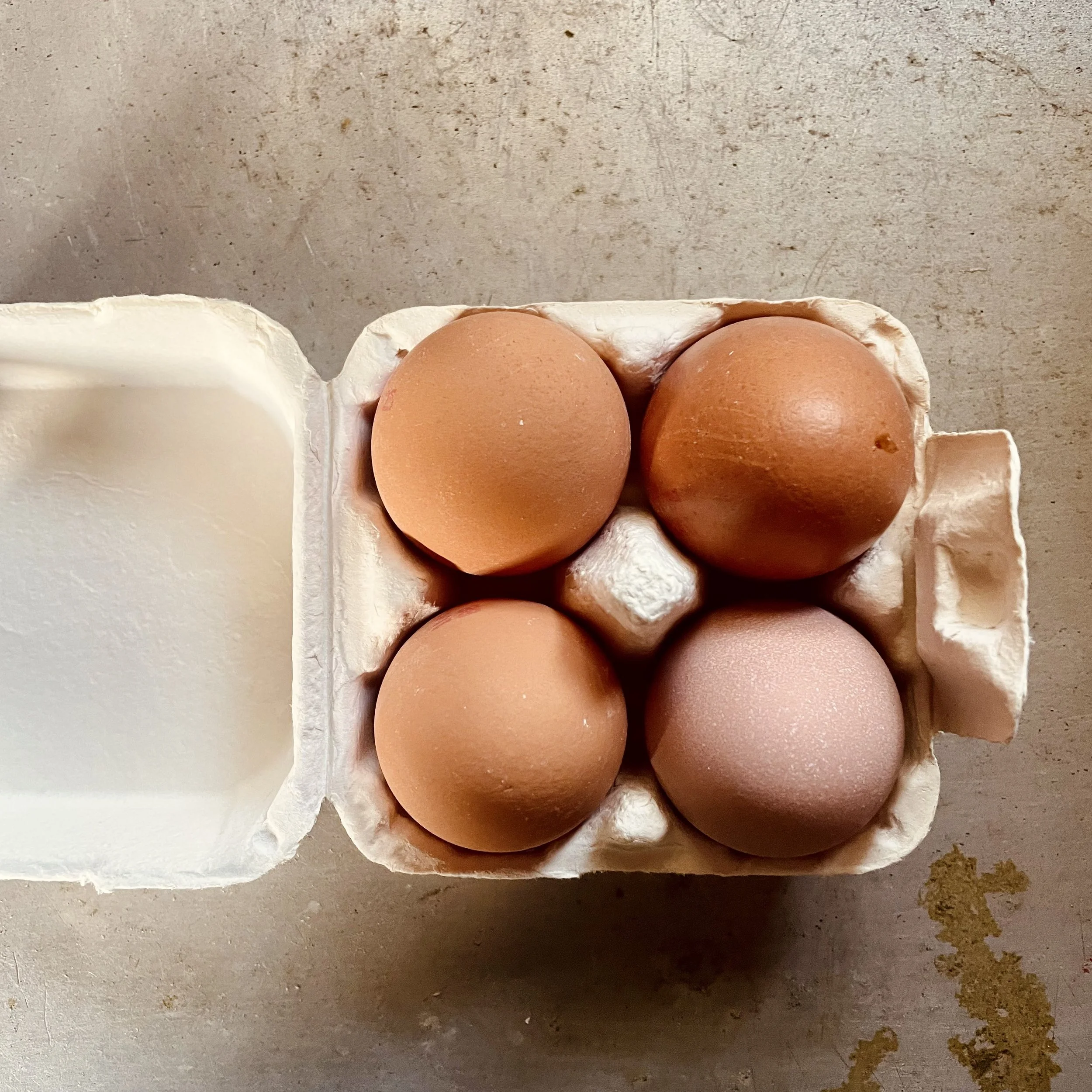 4 free range eggs