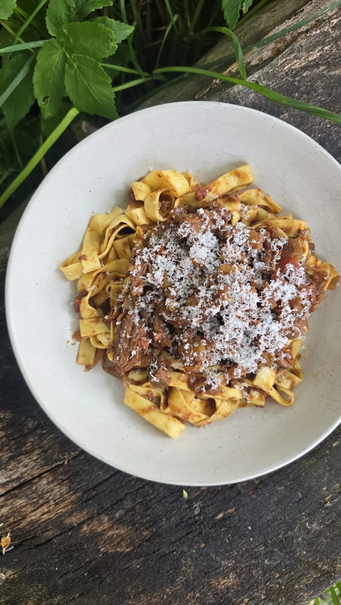 Venison ragu & tagliatelle