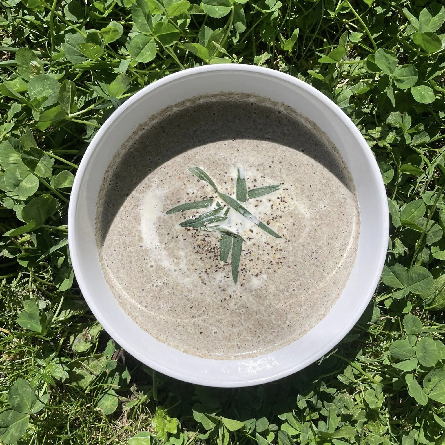 Mushroom, leek & tarragon soup