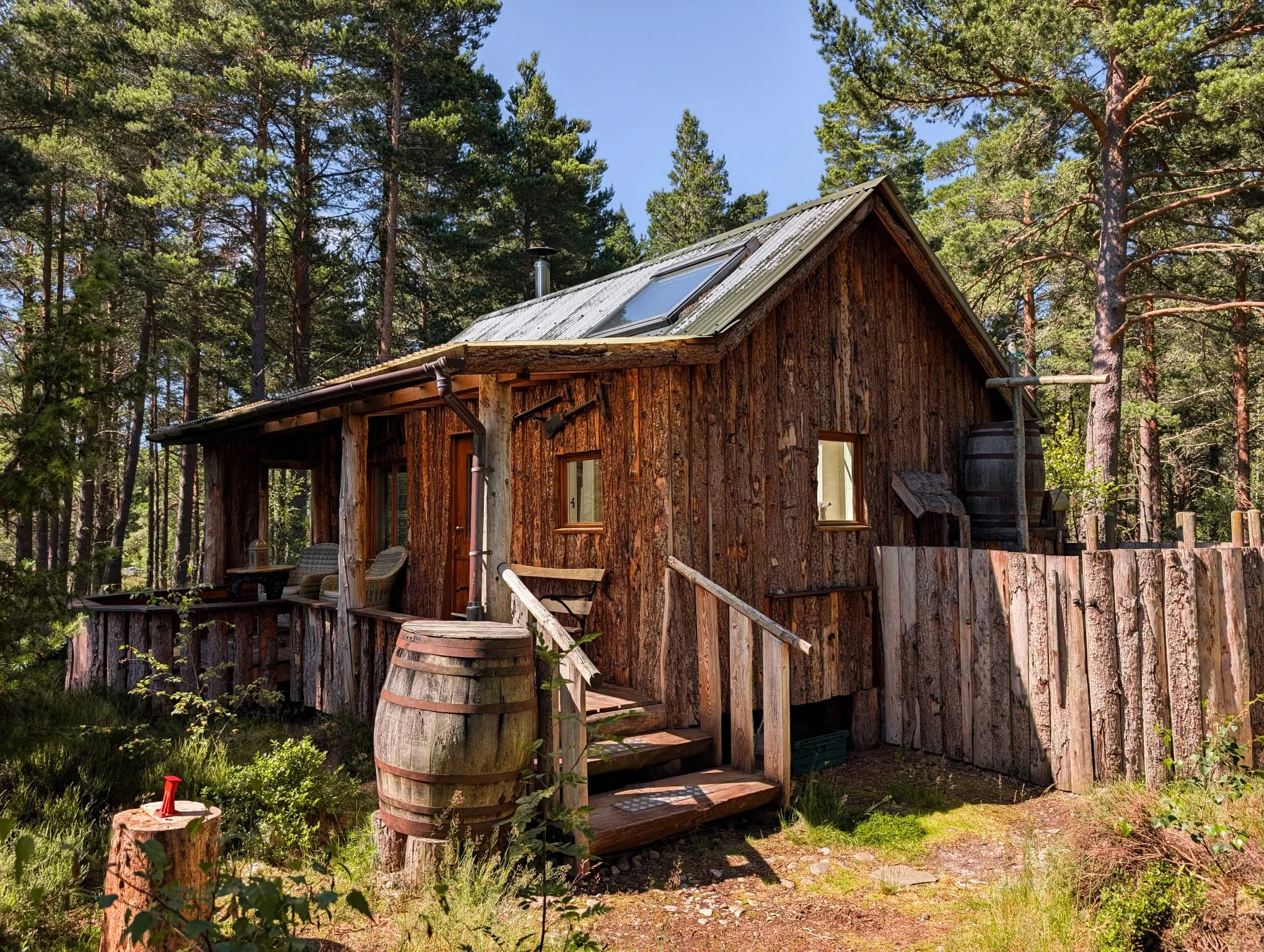 an off-grid woodland hut surrounded by trees