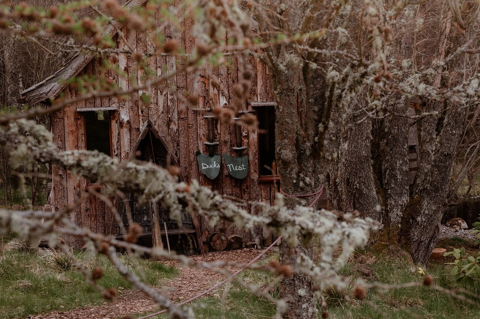 A rustic wooden duck's nest sign on the side of a tree in front of a small wooden structure in a forested area.
