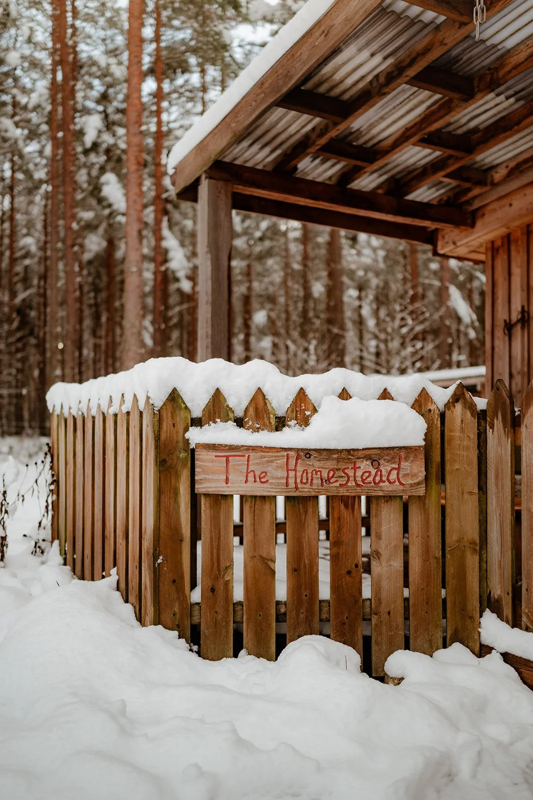 Snow-covered wooden fence with a sign that says 'The Homestead' near a rustic wooden house, in a forested area during winter.