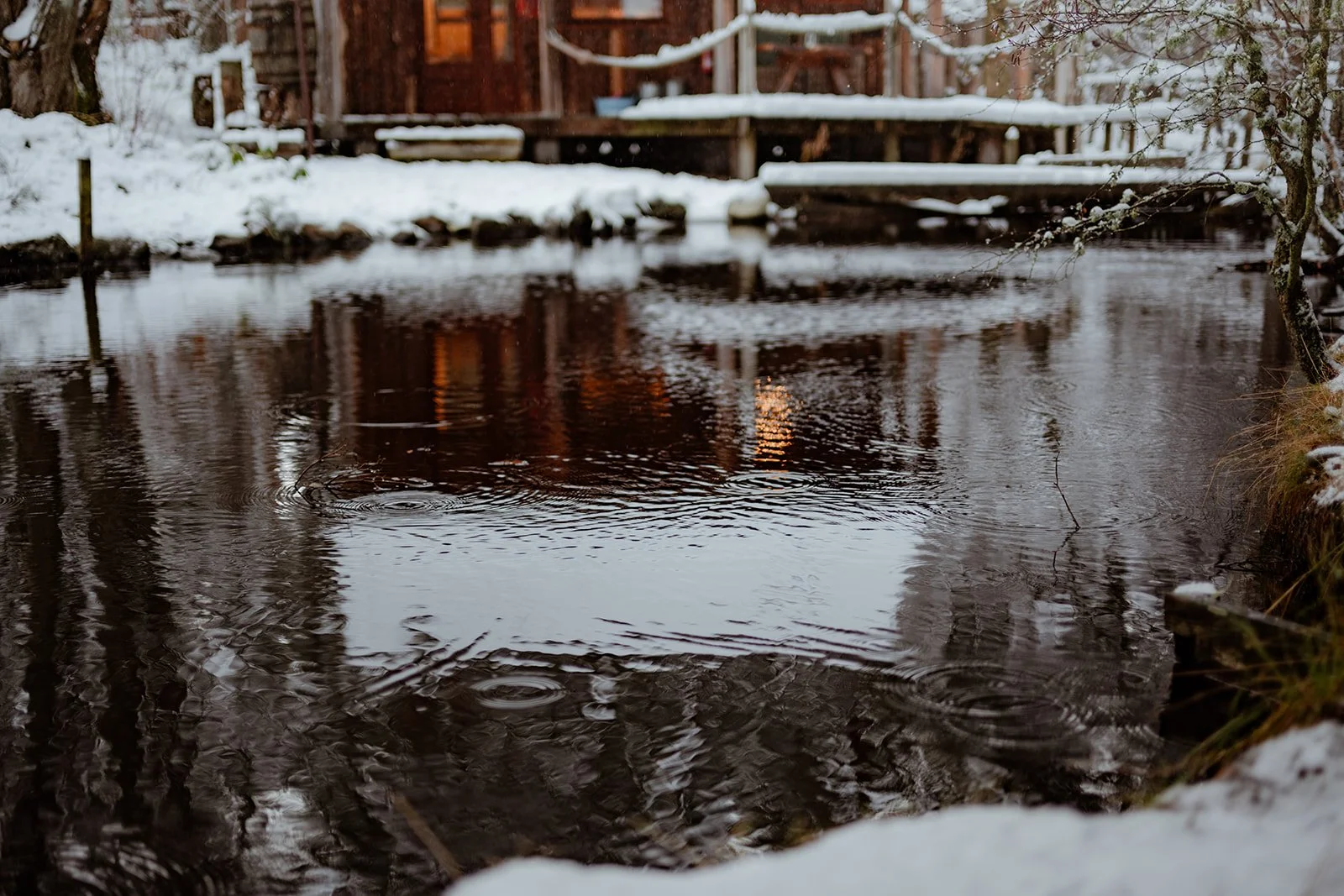 A pond with the reflection of an off-grid cabin in a snowy forest