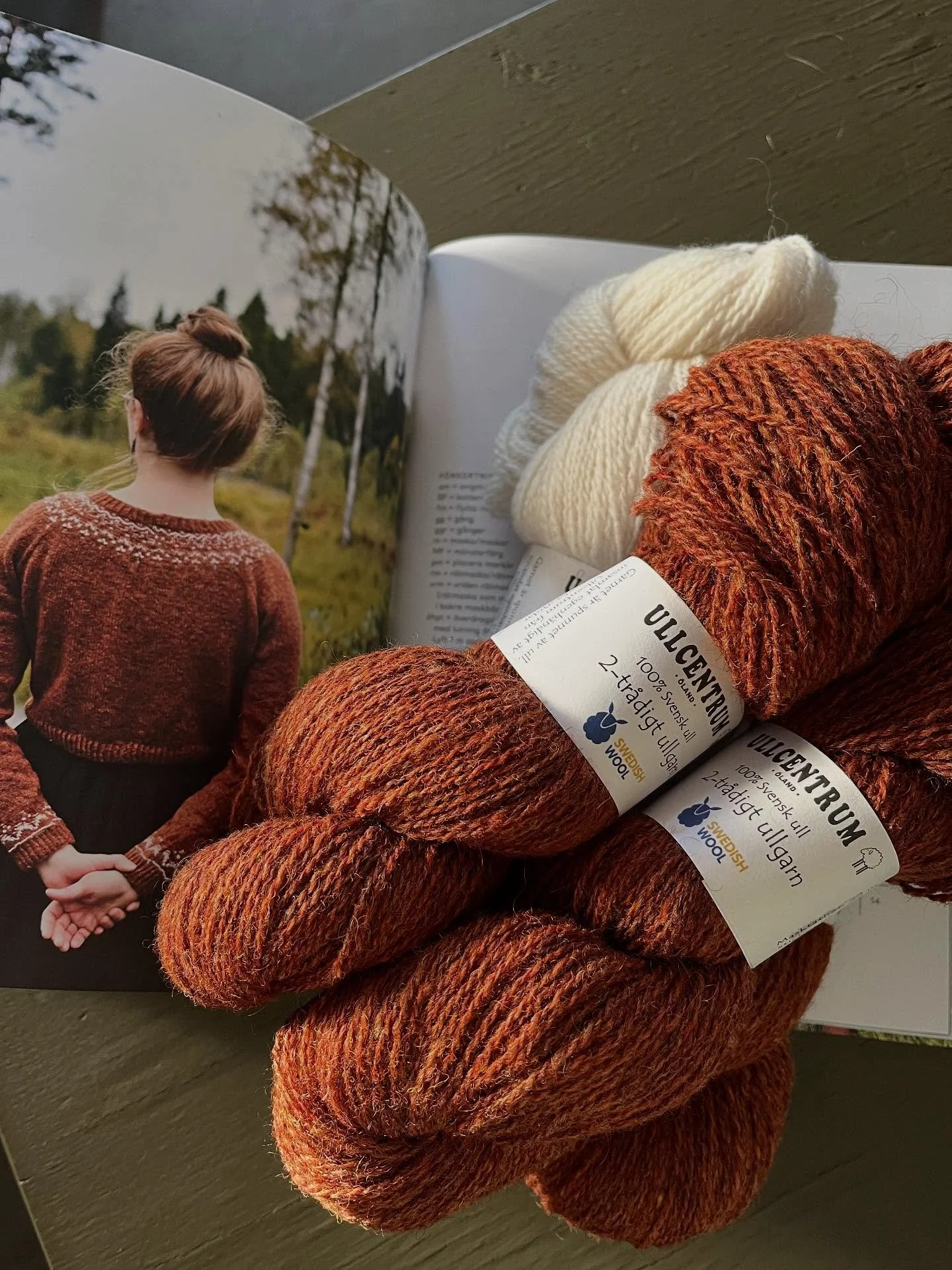 Nu kan höststormarna komma! Laddat med nya 2-trådiga garner från @ullcentrumoland 
Koppartweed och vit som i tröjan Elsa ur nya boken av @anna.sjosvard 
Multifärgade Norrland
Tweedgarnet Misty Blue
Gult och grönt Z