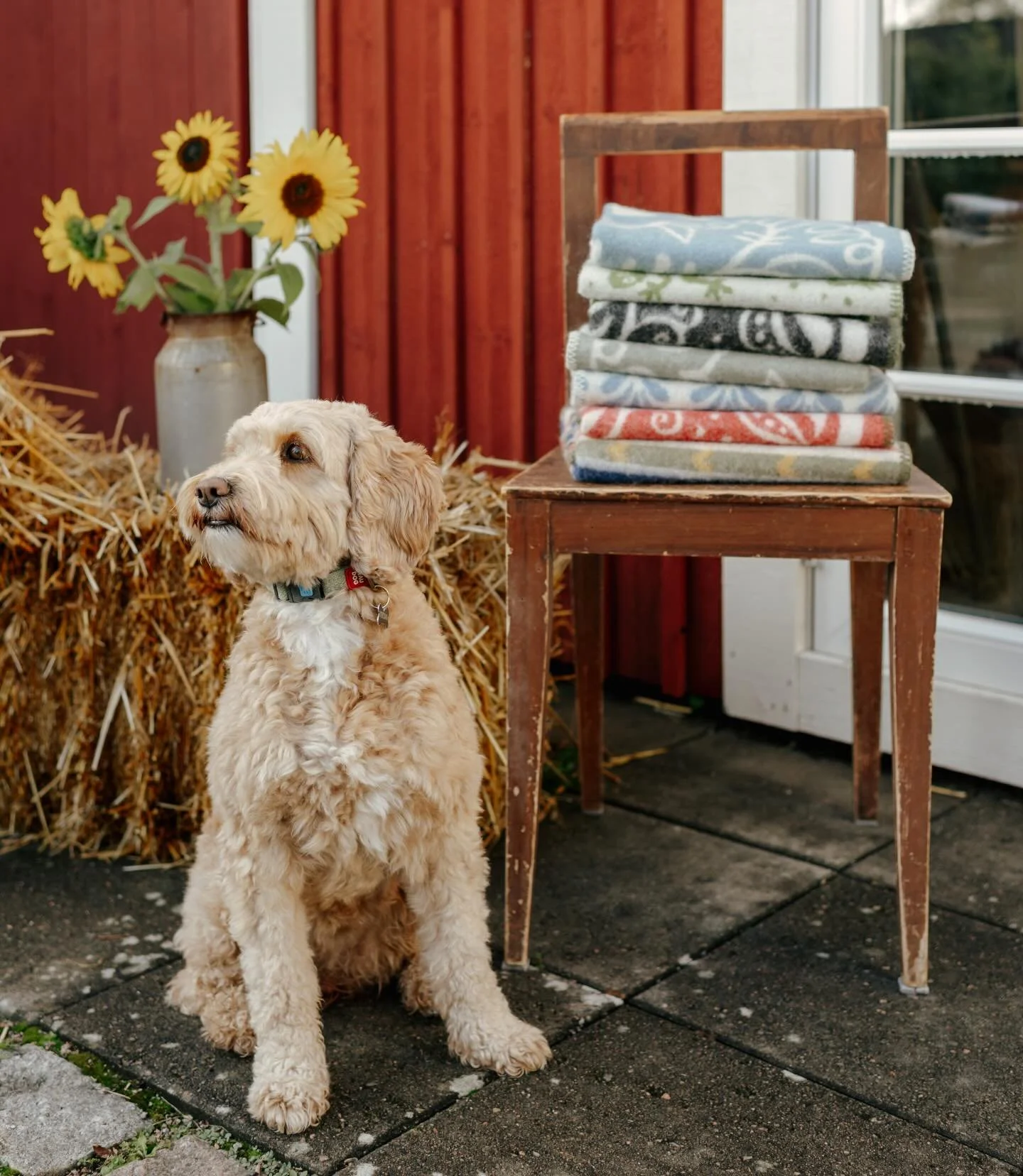 Med blicken fram&aring;t och med stor f&ouml;rhoppning om ett fint 2026 &ouml;nskar jag och Signe er alla ett Gott Nytt &Aring;r! ❤️ 

#lillaullbodenikumla