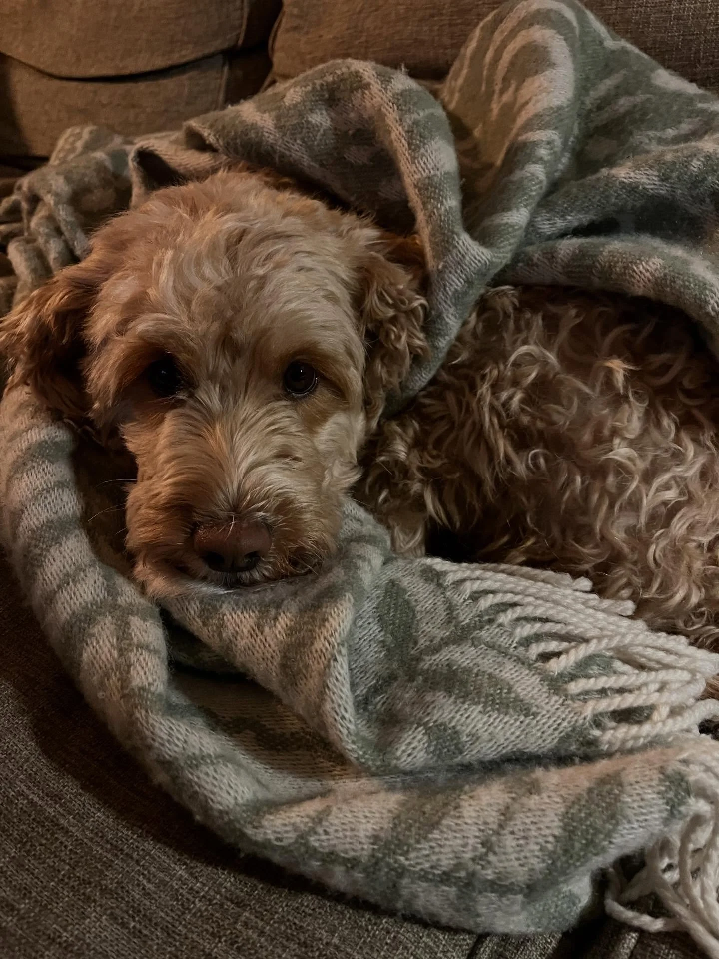 💕L&ouml;rdagsmys 💕

@kerstinlandstromdesign