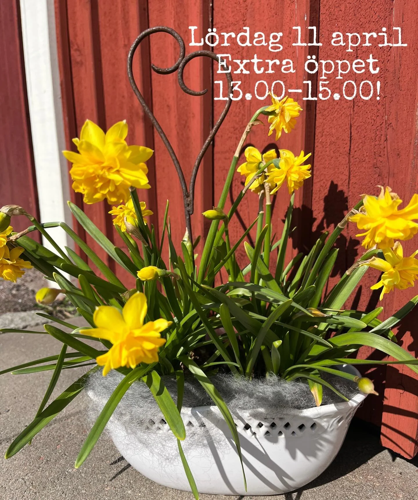 Som egenf&ouml;retagare f&aring;r man vara precis s&aring; spontan som man vill! V&auml;lkomna l&ouml;rdag 11 april 13-15☀️

Ordinarie &ouml;ppettid p&aring; l&ouml;rdagar &auml;r j&auml;mn vecka 10-13. Fick en fr&aring;ga fr&aring;n en kund om det s