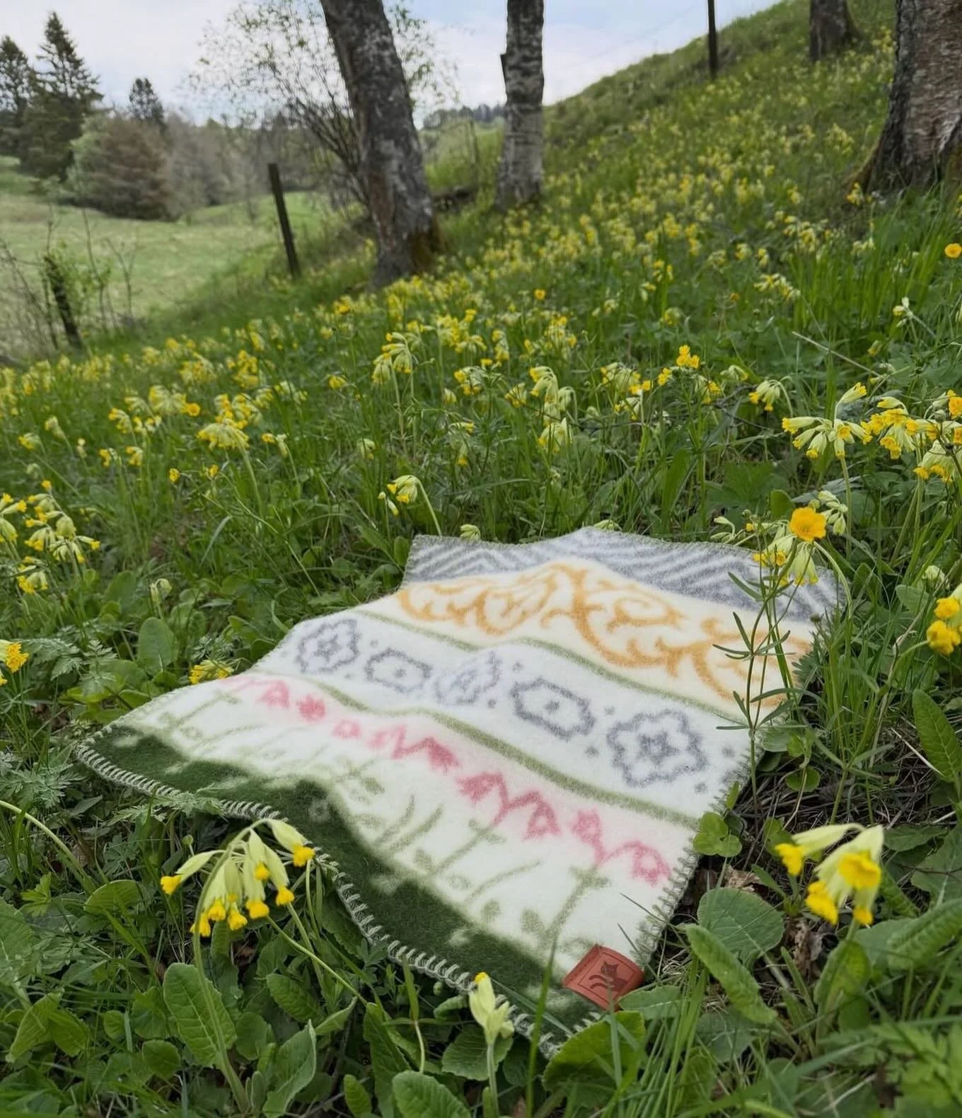 Jag &auml;r s&aring; glad &aring;t att f&aring; vara &aring;terf&ouml;rs&auml;ljare av filtar och sittunderlag fr&aring;n @kerstinlandstromdesign 

H&auml;r sittunderlag Linnaeus. Lika fint och sk&ouml;nt p&aring; utflykten som p&aring; tr&auml;dg&ar