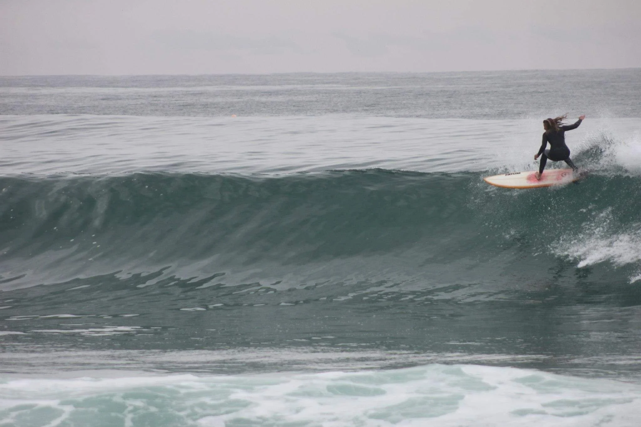 4. Peggy Webster2.jpeg