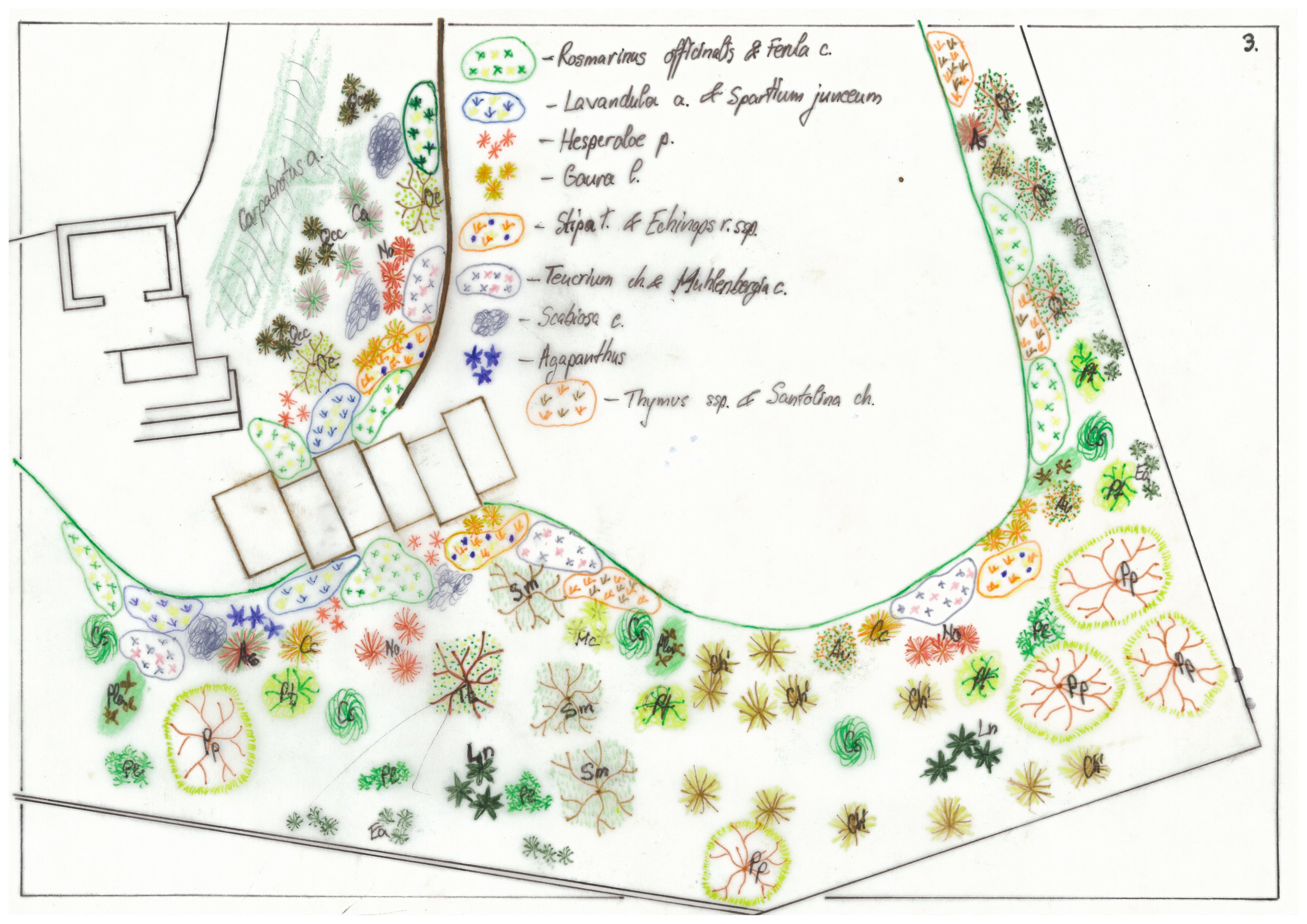 Plan plantare 3.jpg