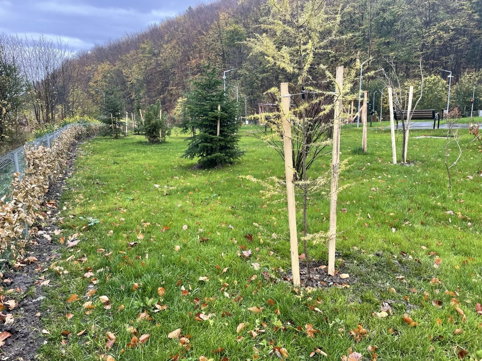 Parc La Iepure BV 2.jpg
