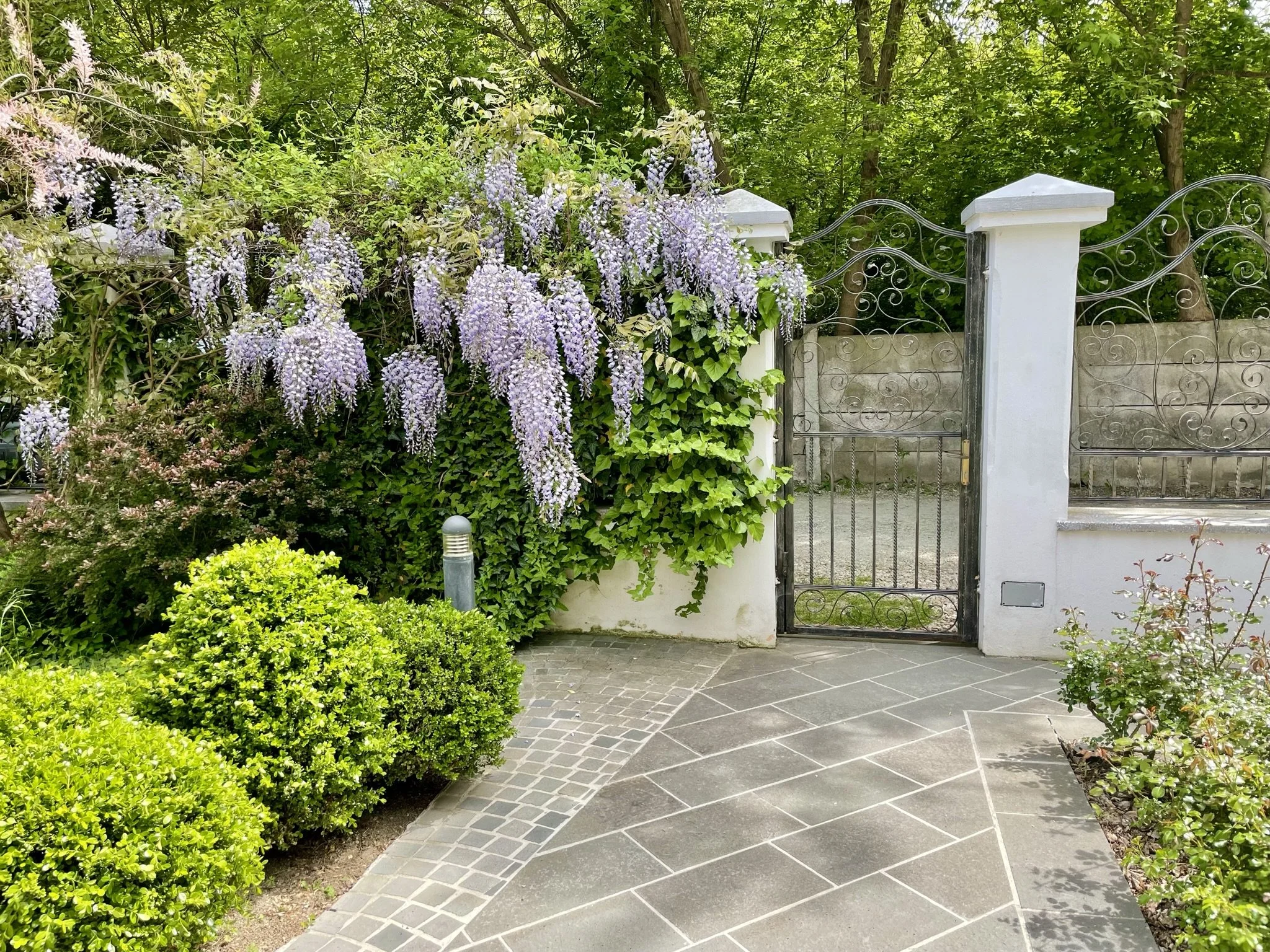 Băneasa Lush Garden