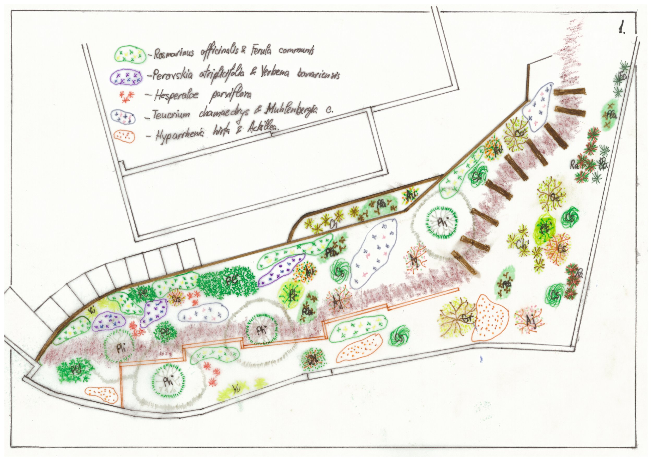 Plan plantare 1.jpg