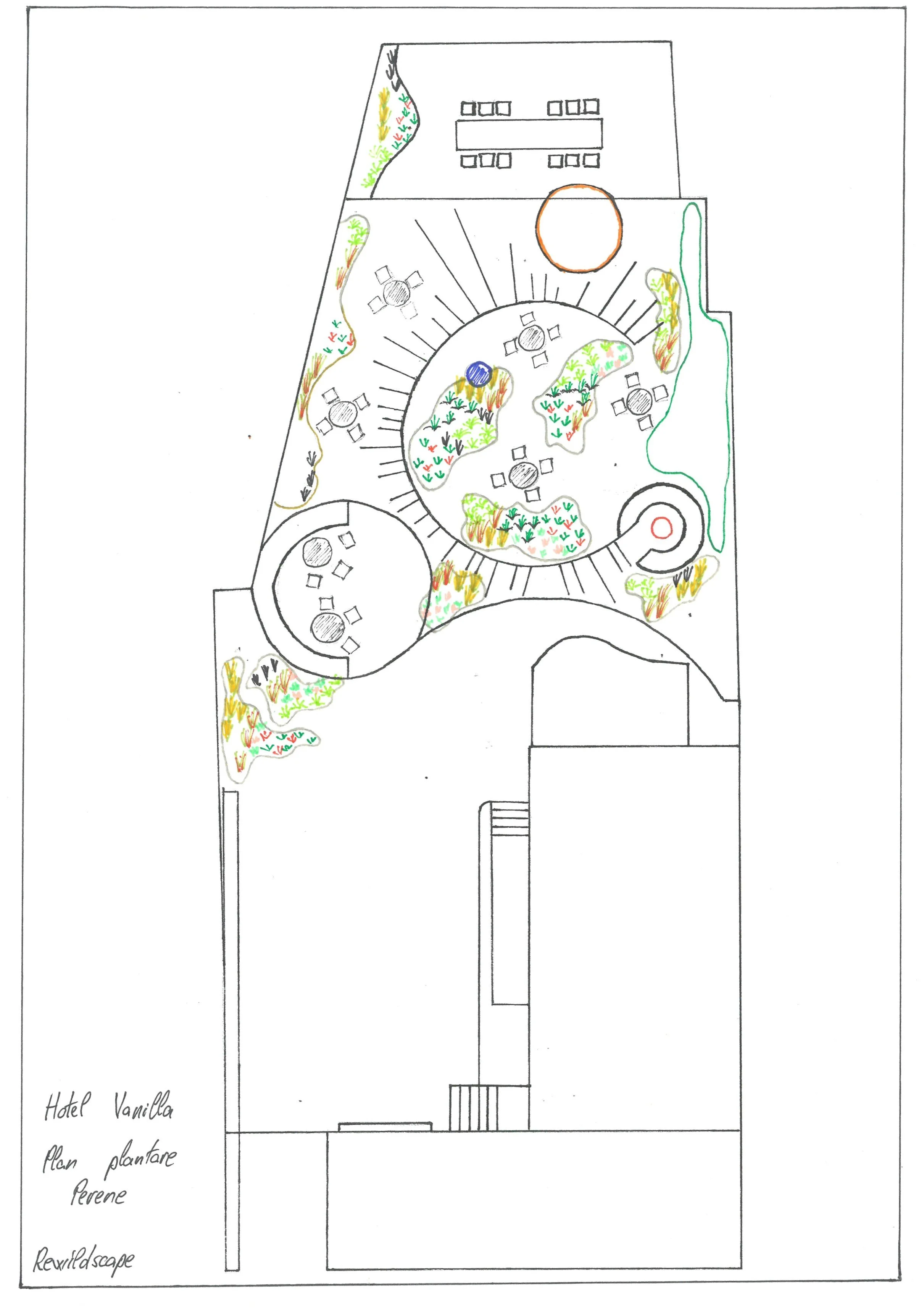 Perennials planting composition