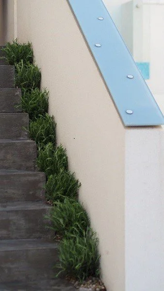 Aiurart Art Gallery Bucharest