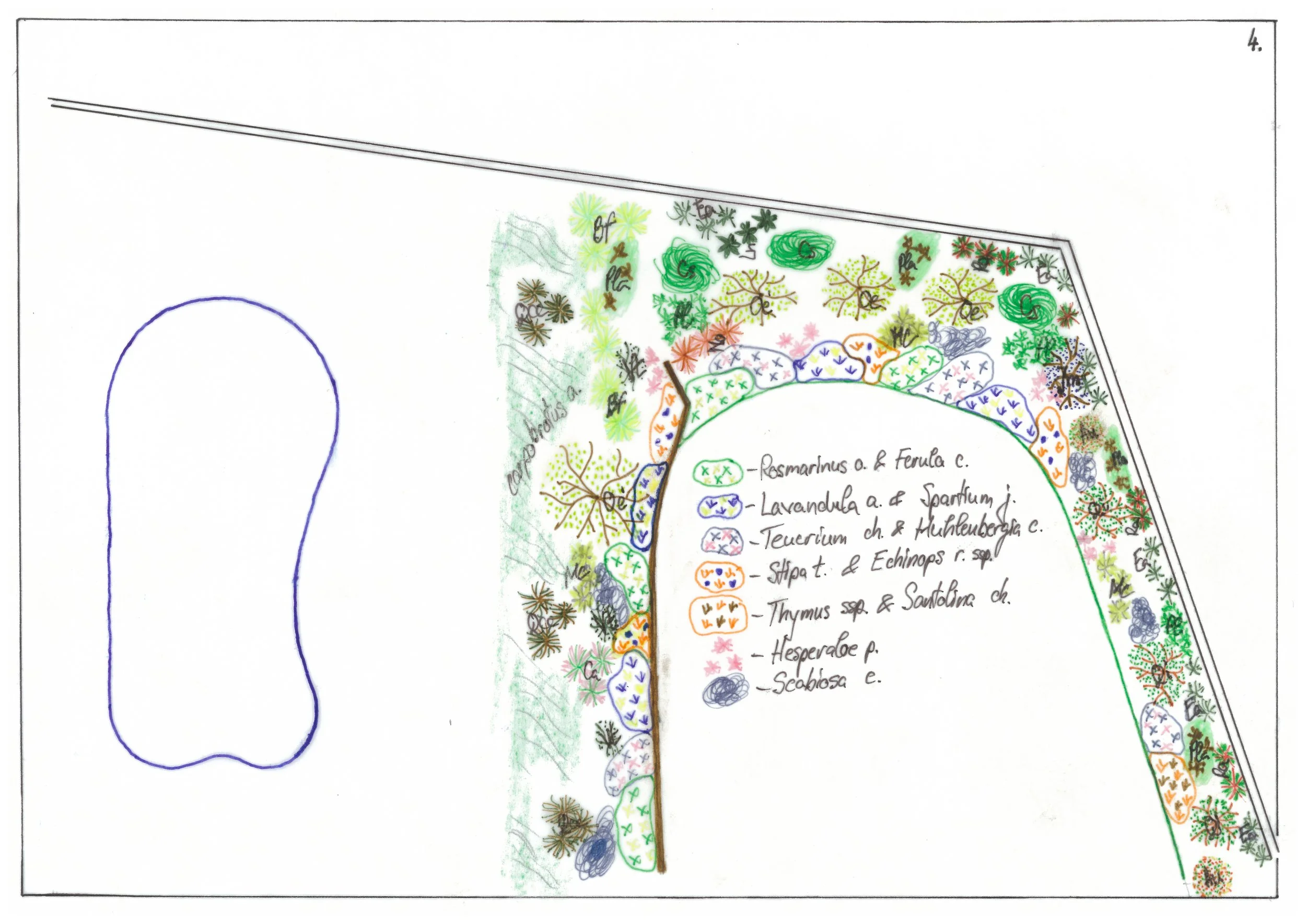 Plan plantare 4.jpg