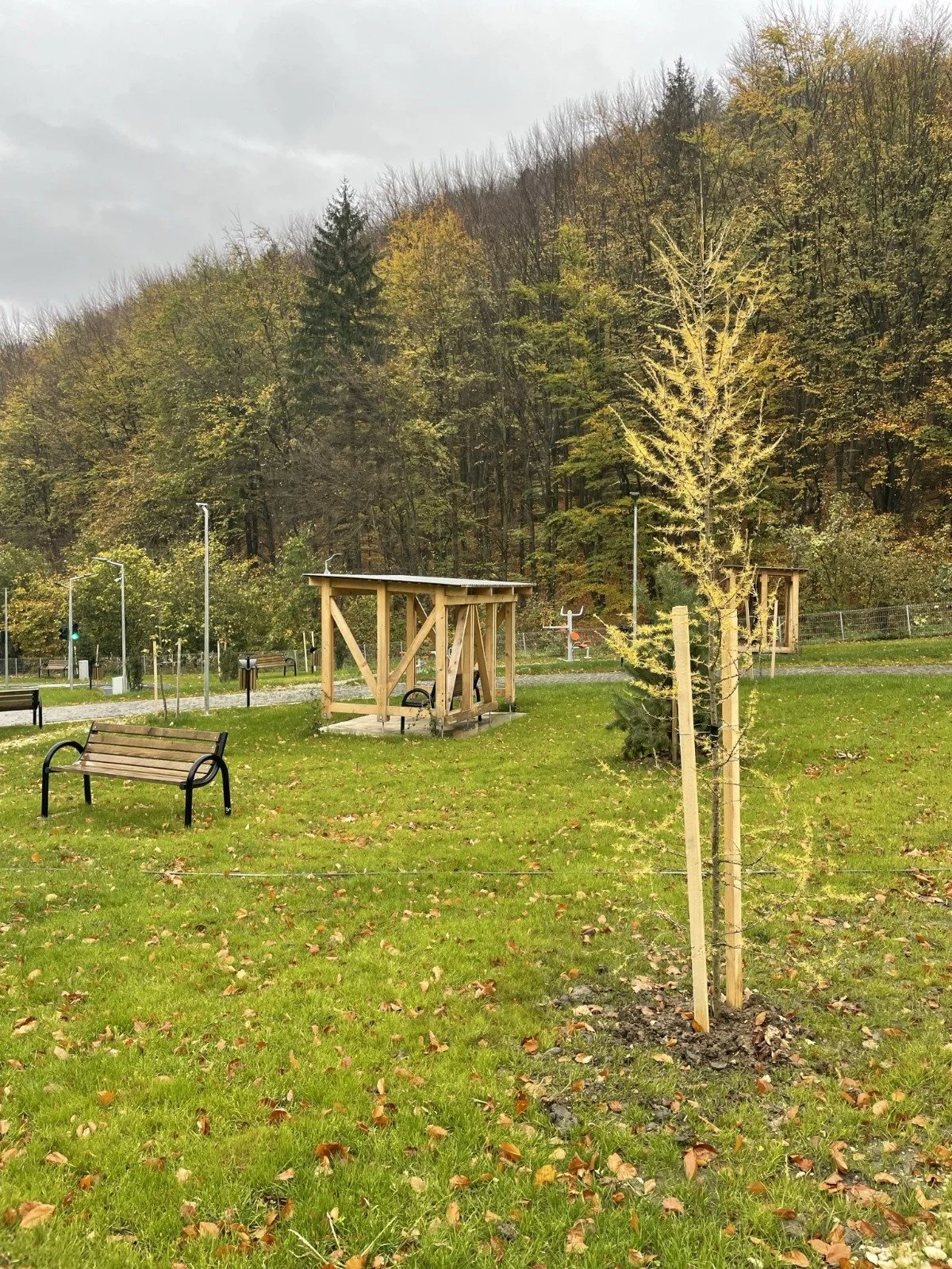 Parc La Iepure BV 4.jpg