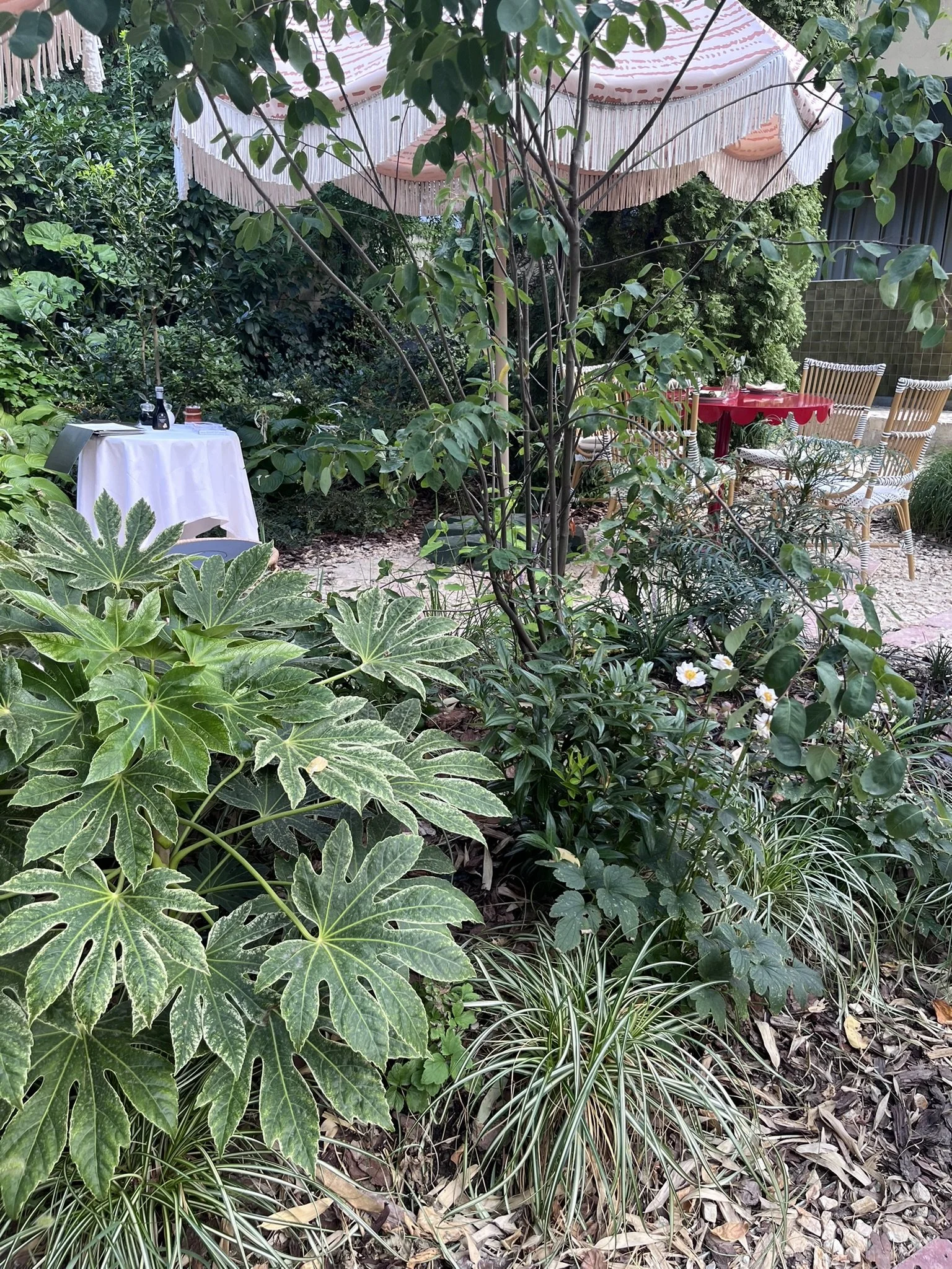 IMG_0762.JPEG