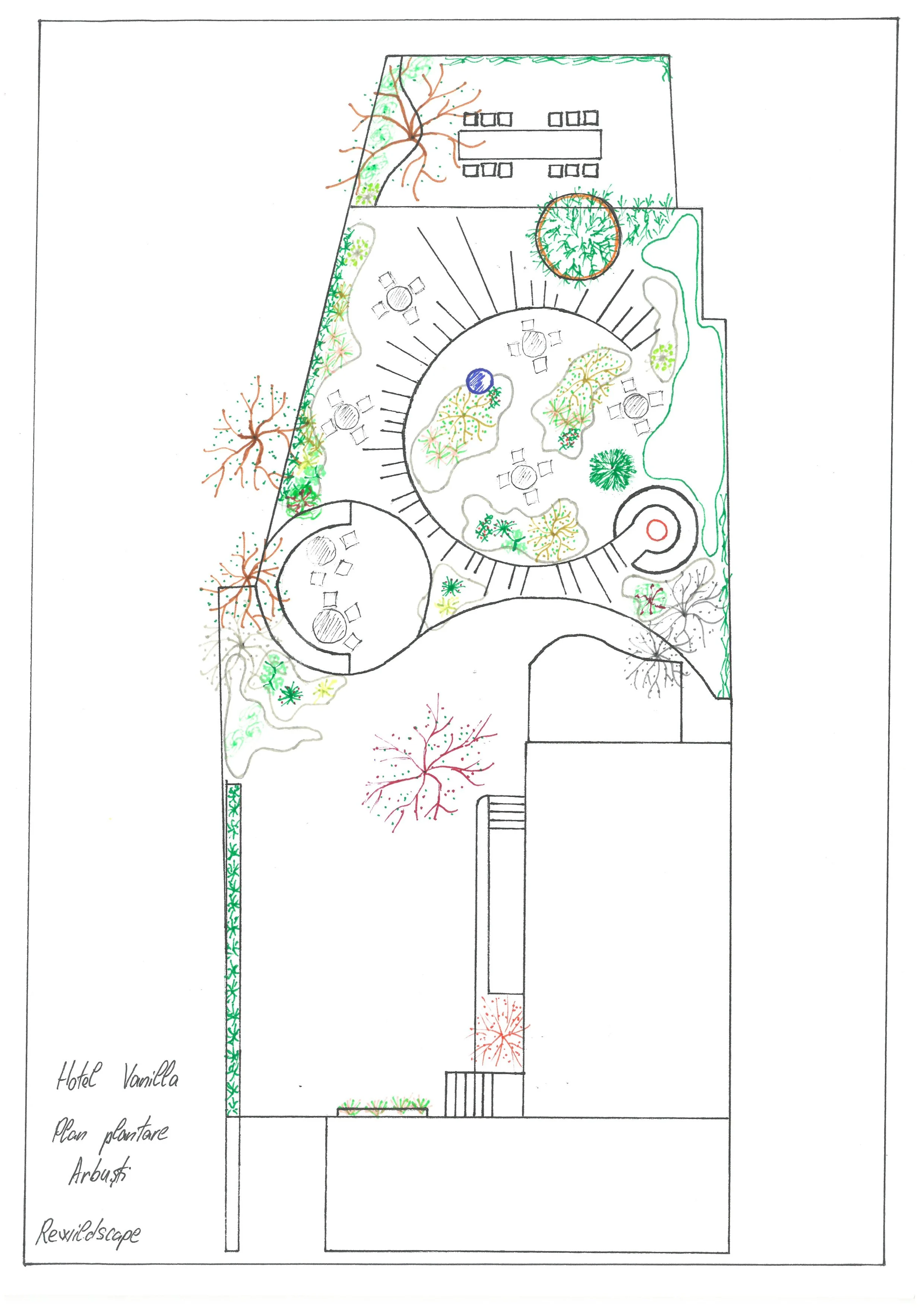 Shrubs planting composition