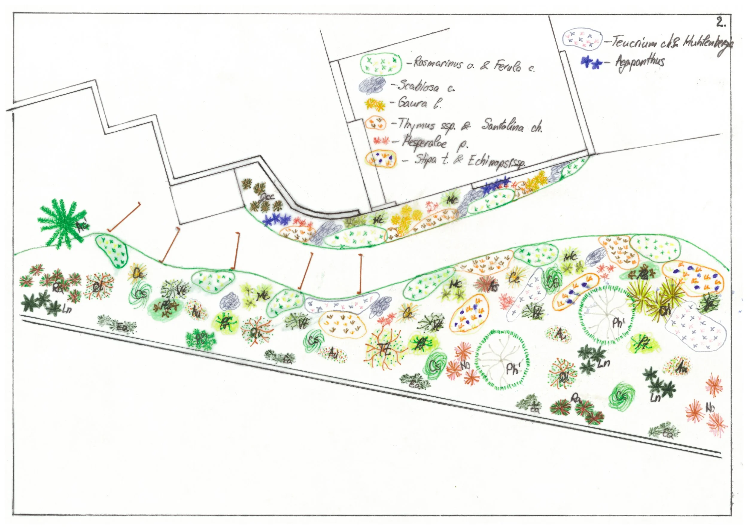 Plan plantare 2.jpg