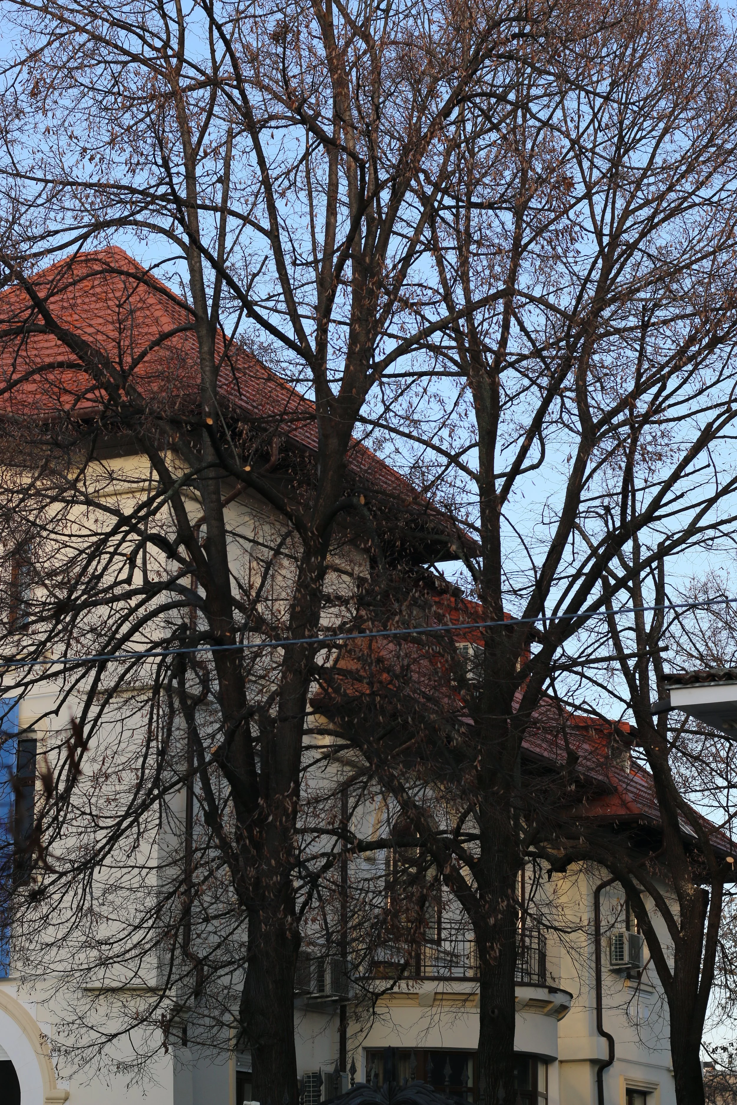 Vedere strada after.JPG