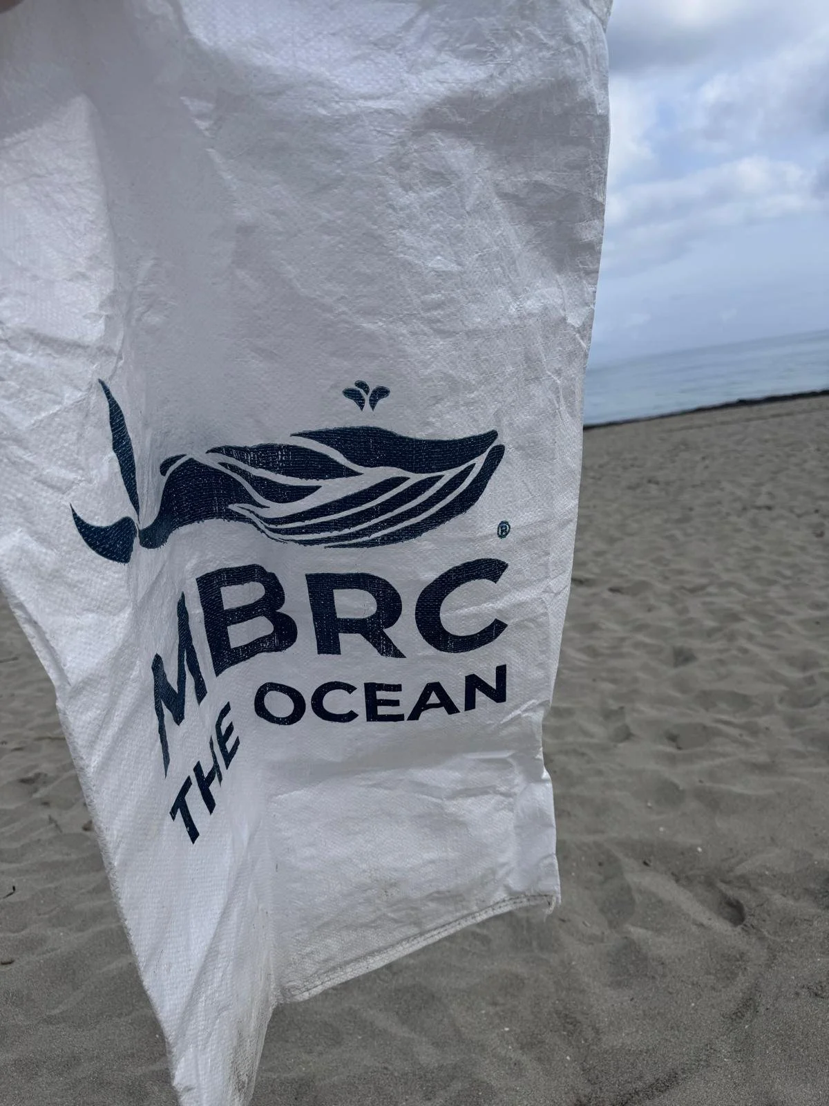 Fundación Clean Wave (10).jpg