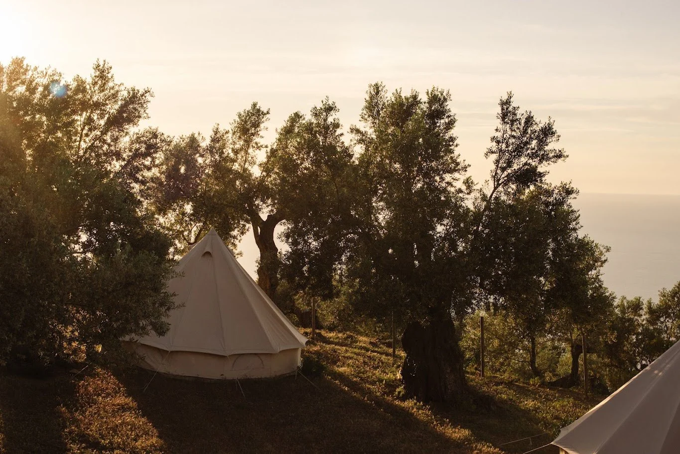 ¿Qué es un glamping y por qué cada vez más viajeros lo eligen?