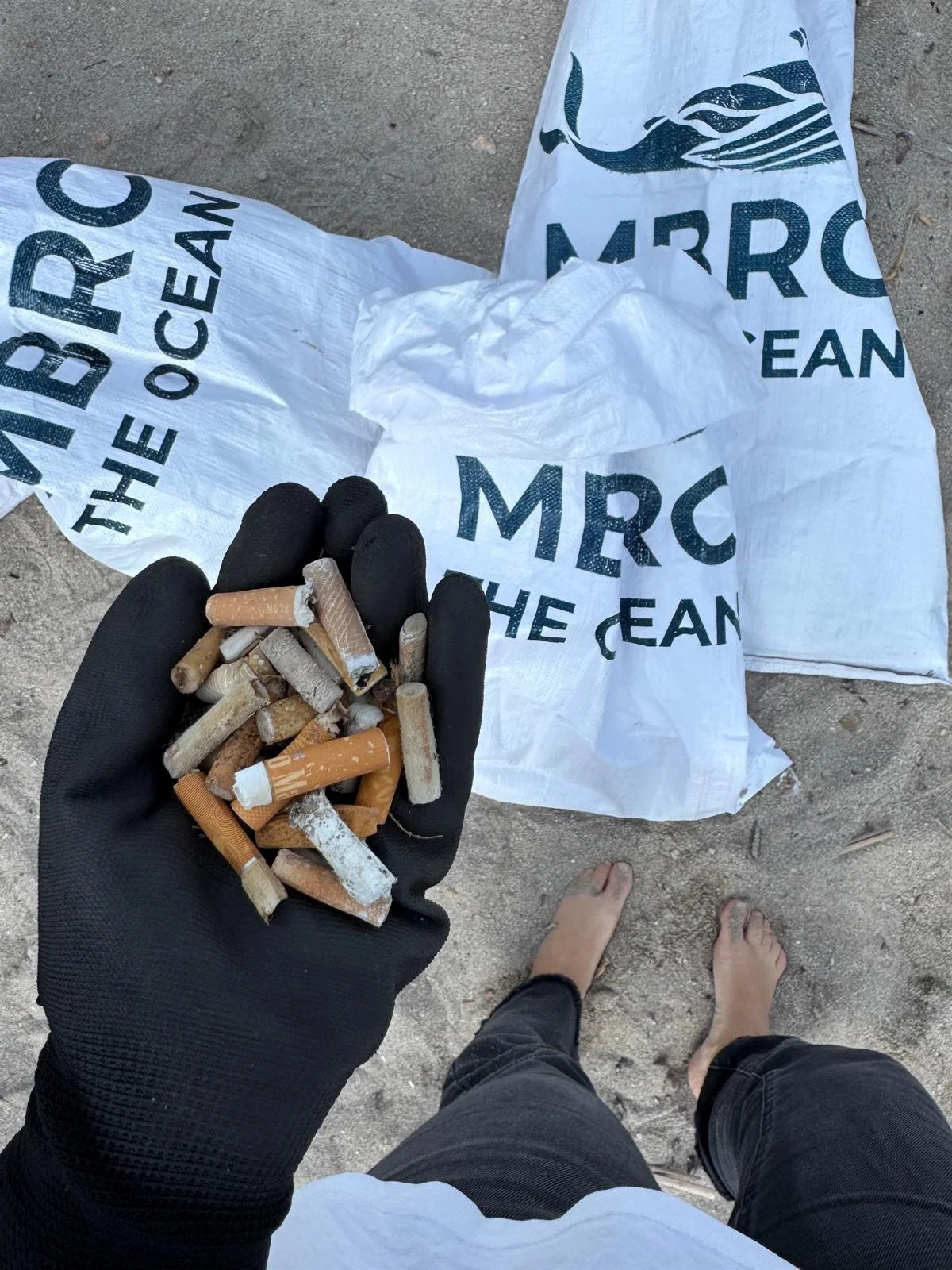 Fundación Clean Wave (12).jpg