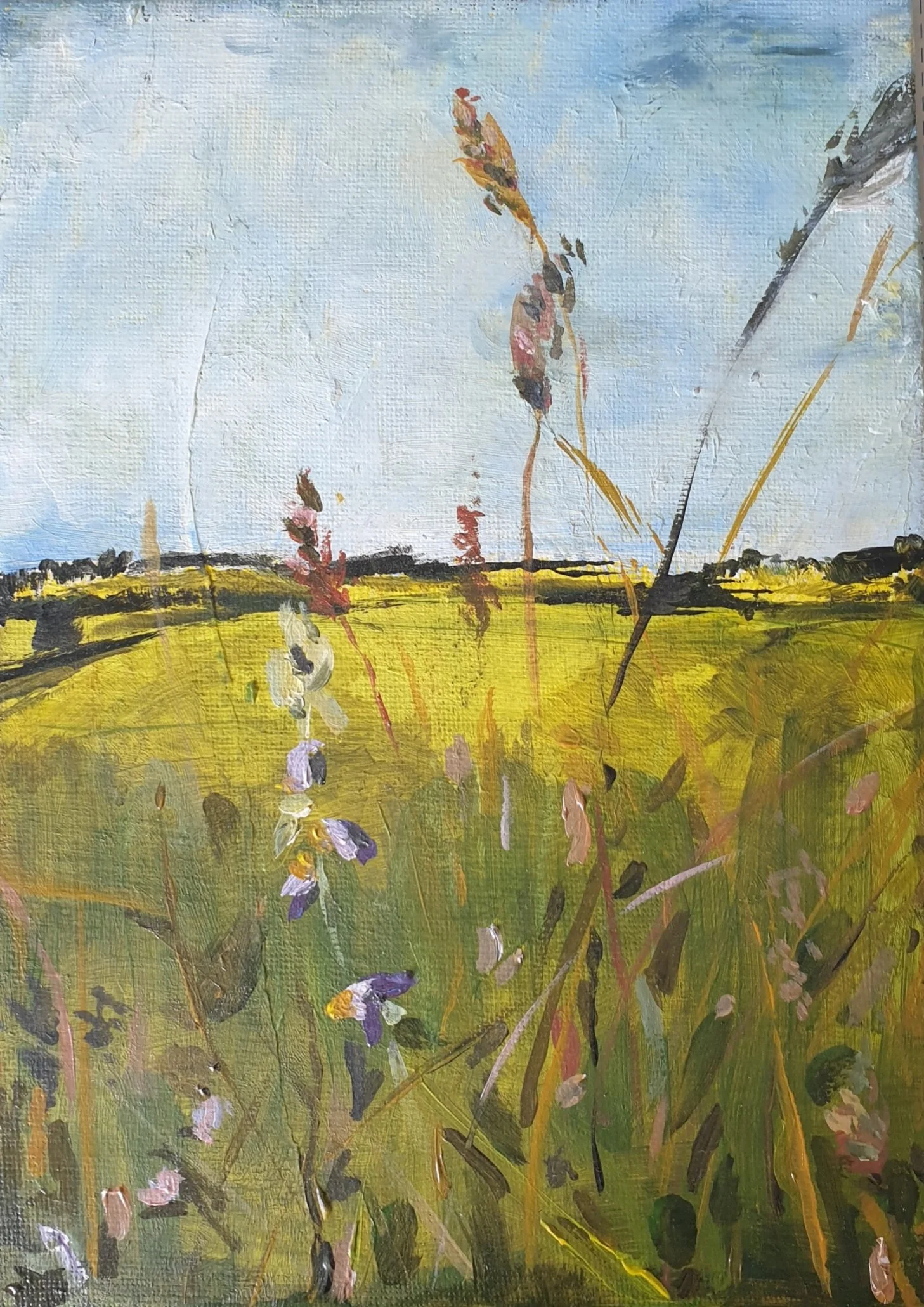 Landscapes