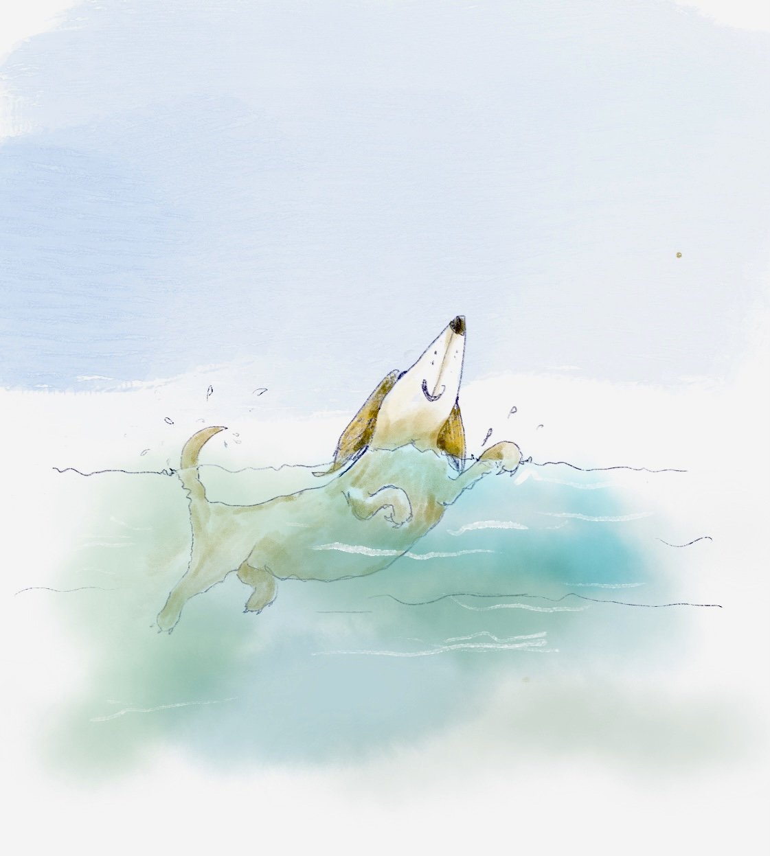 Swimmer