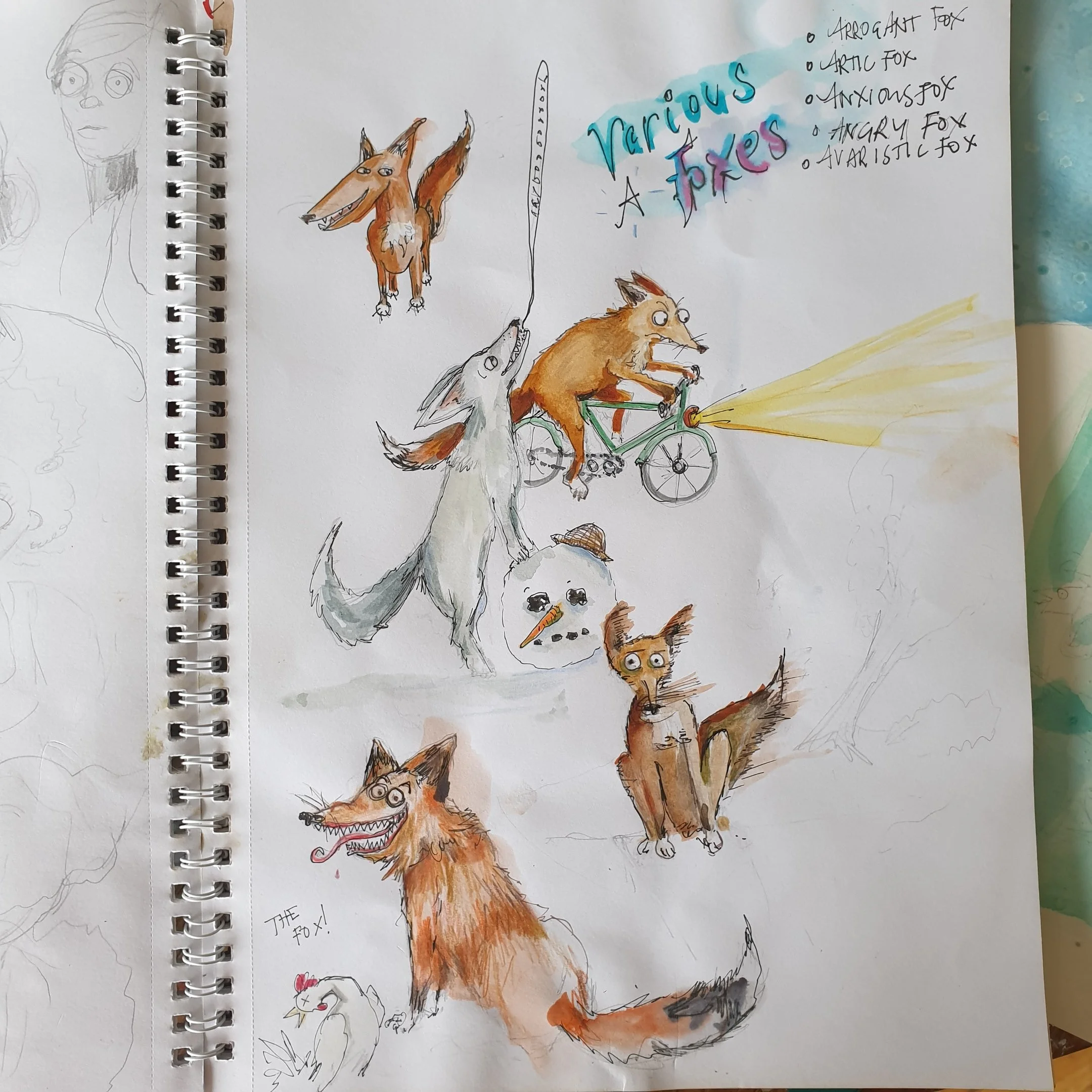 Foxes beginning with A