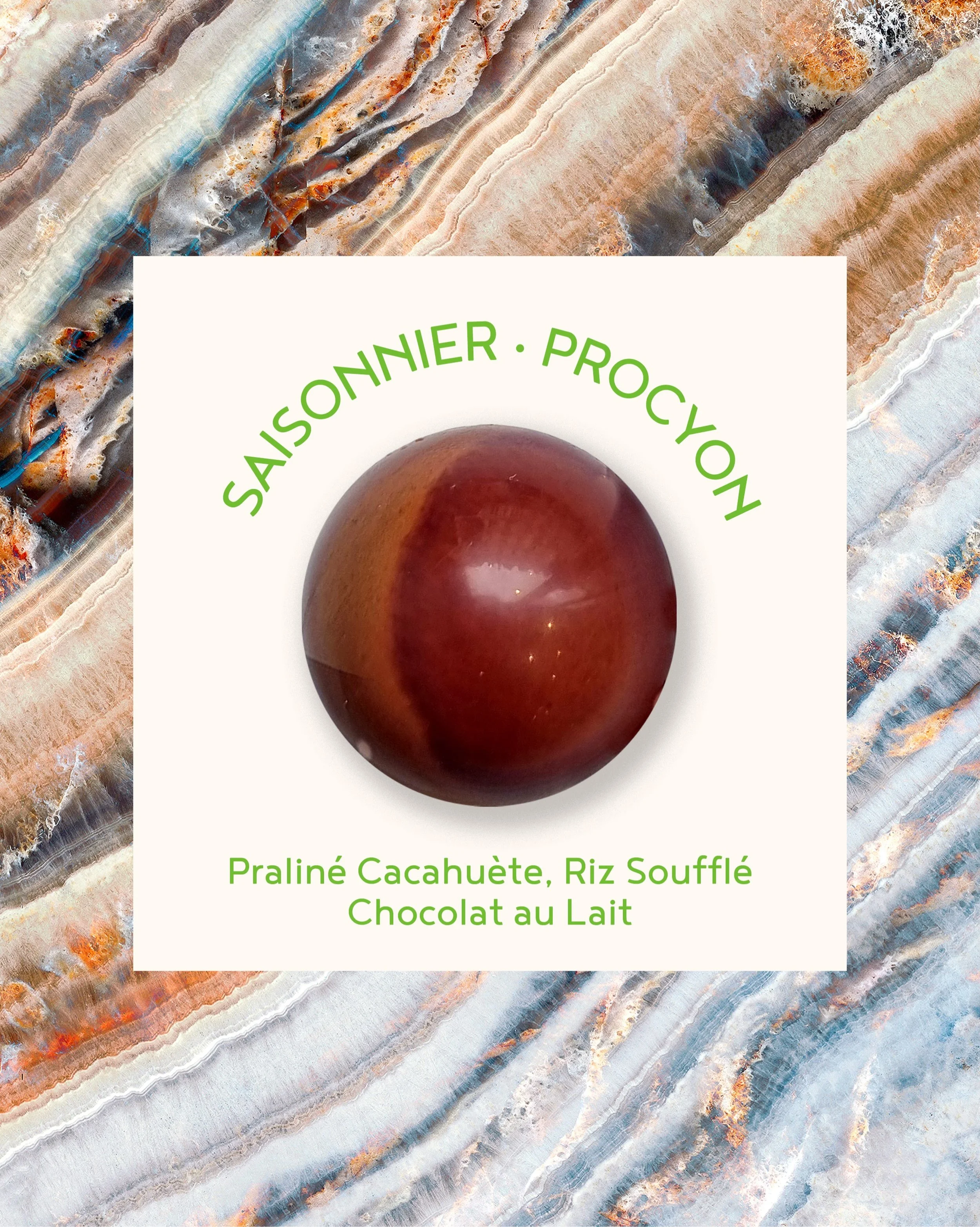 BONBON SAISONNIER - PROCYON
Pralin&eacute; Cacahu&egrave;te, Riz Souffl&eacute;
Chocolat au Lait

#chocolaterie #chocolate #faitmain #cosmique #businessfamilial