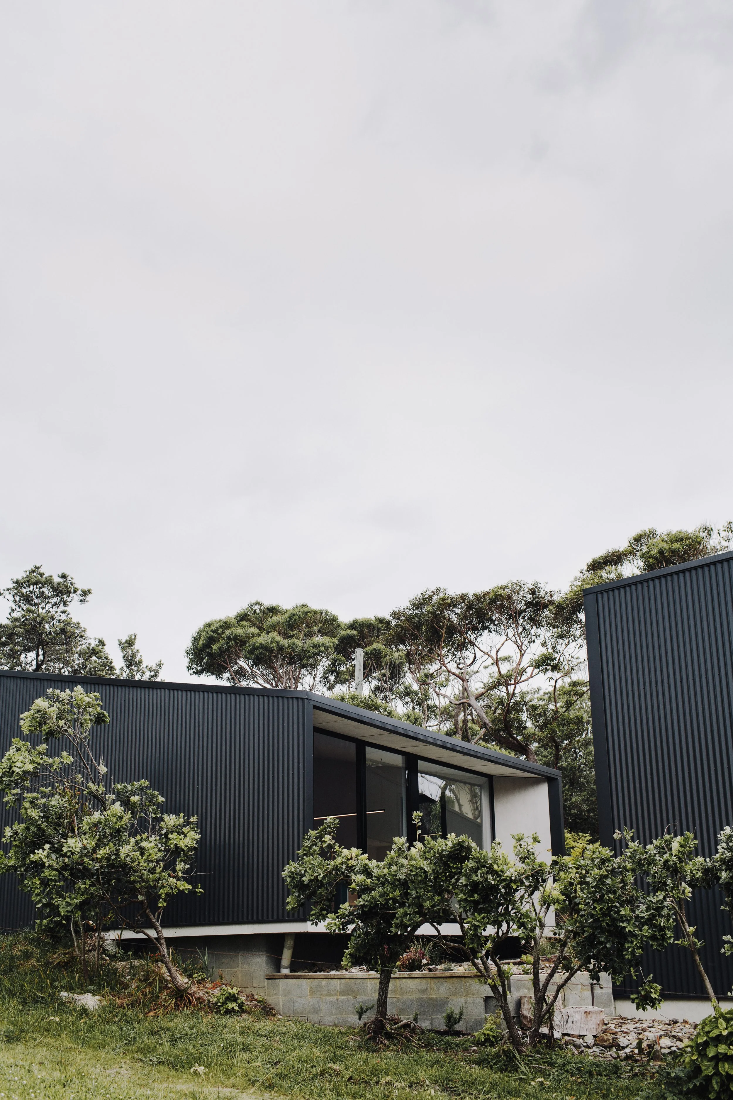Sleek black granny flat in Bayview with panoramic windows nestled in leafy bushland setting