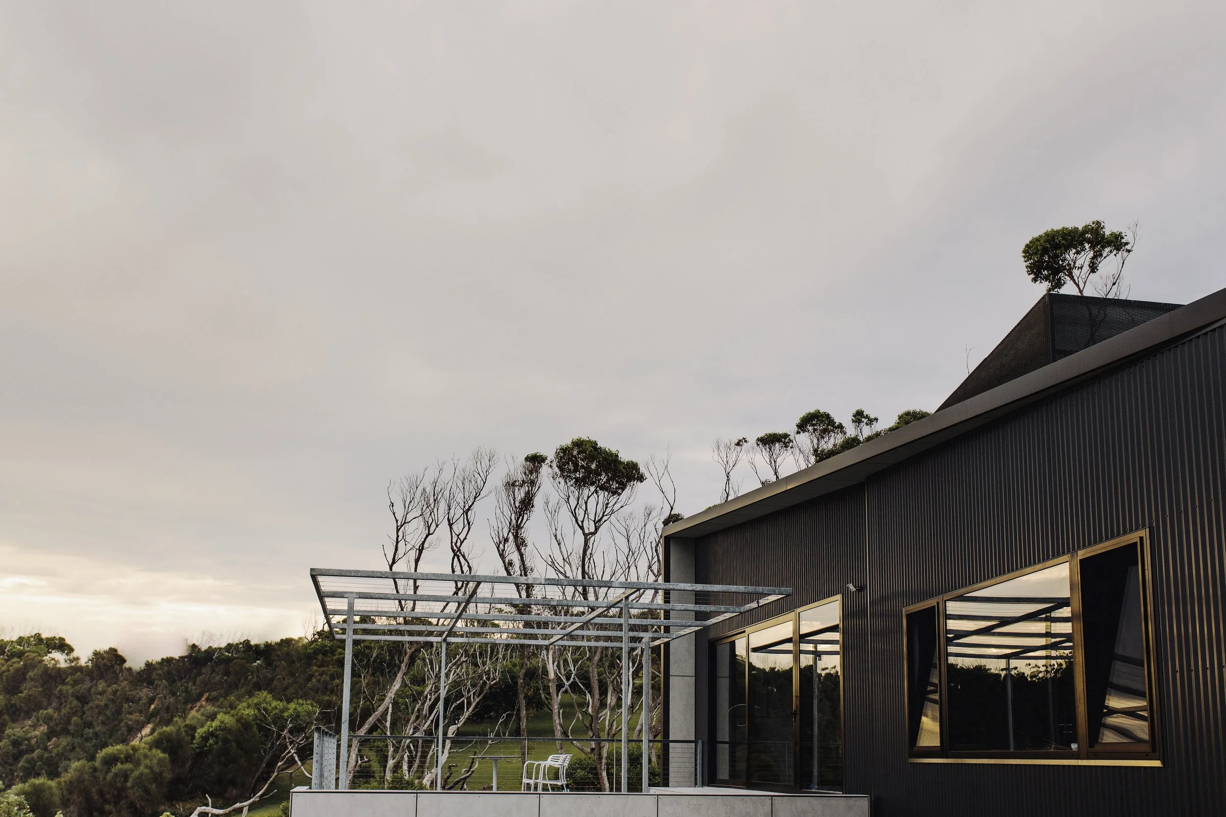 Striking modern architecture featuring dark cladding and structural framework set within leafy surroundings, demonstrating innovation typical of granny flats in Cremorne Point