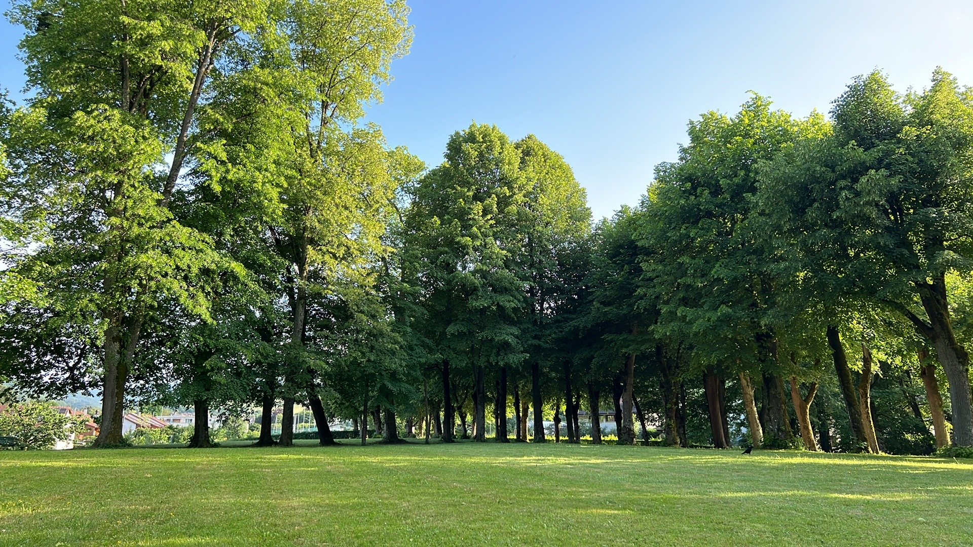 Ebenrainpark Sissach