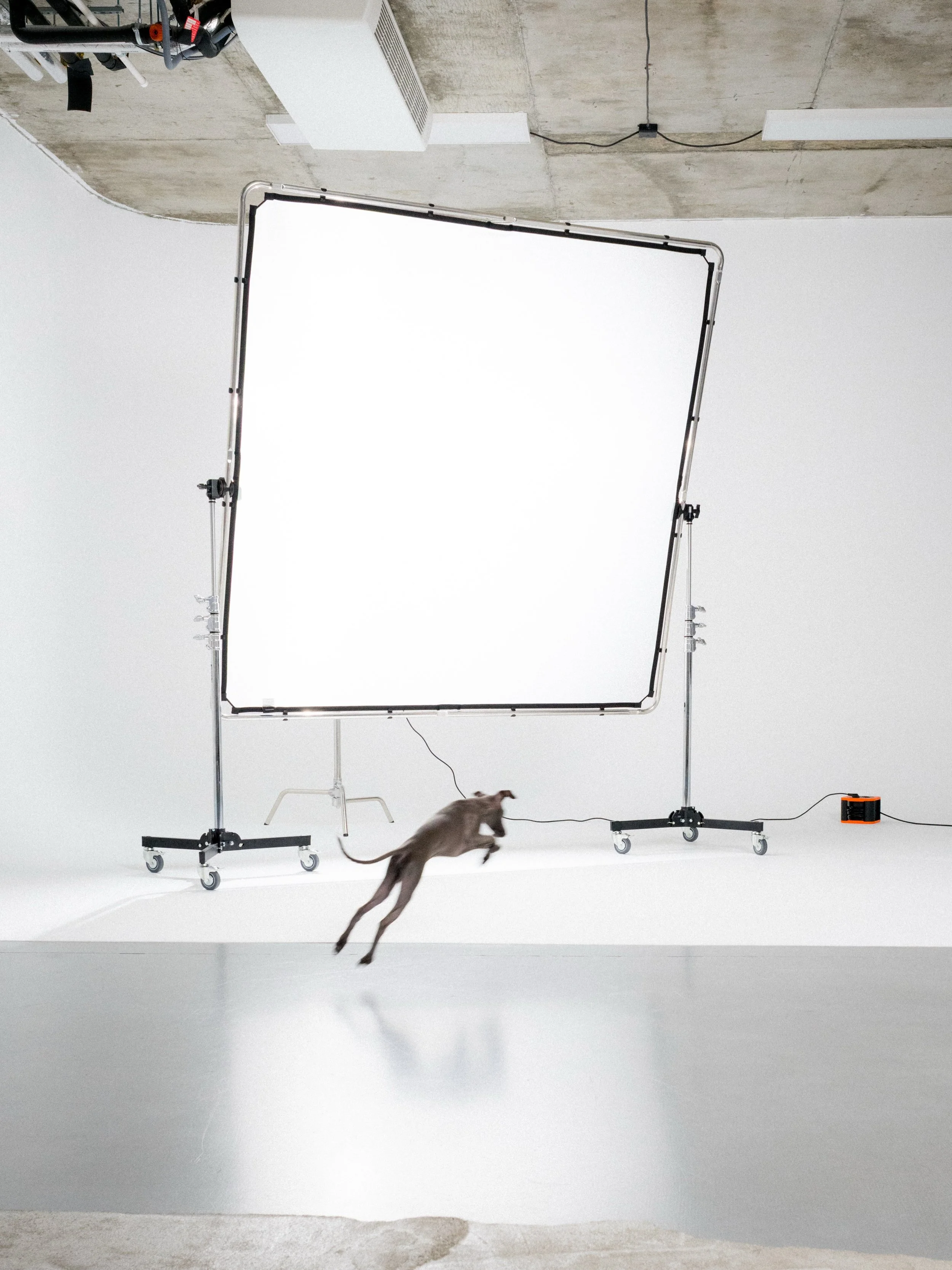 Panel dyfuzyjny Manfrotto Skylite 2&times;2m dostępny w Studio Street

rezerwacje &rarr; link w bio