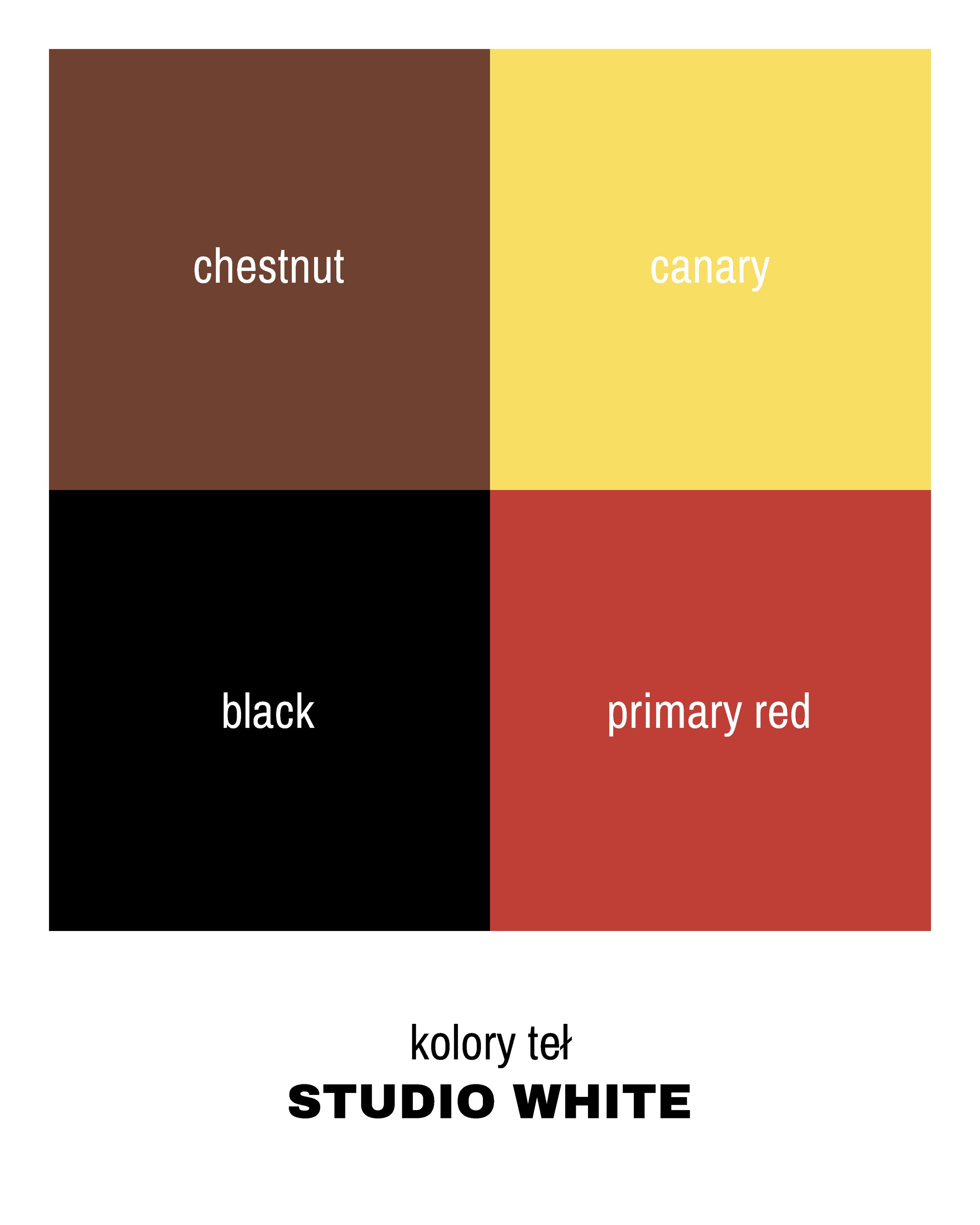Color palette with four colors labeled as chestnut, canary, black, and primary red, with the text "kolory tła STUDIO WHITE" underneath.