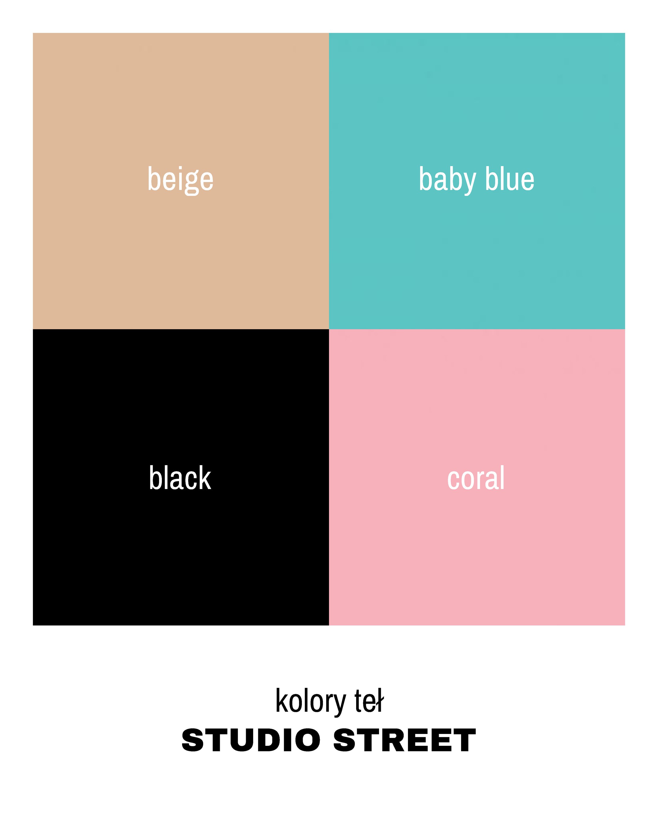Color palette with four sections labeled beige, baby blue, black, and coral, titled "kolory teł STUDIO STREET".